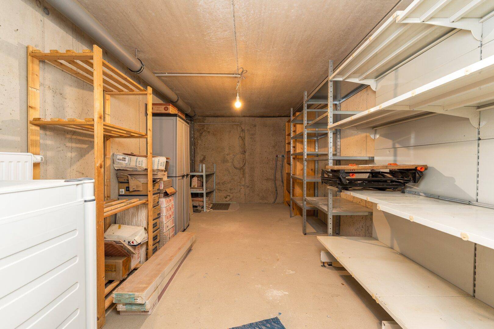 Unfertiger Kellerraum mit Betonwänden, einfachen Regalen und viel Platz für Lagerung und Vorräte.