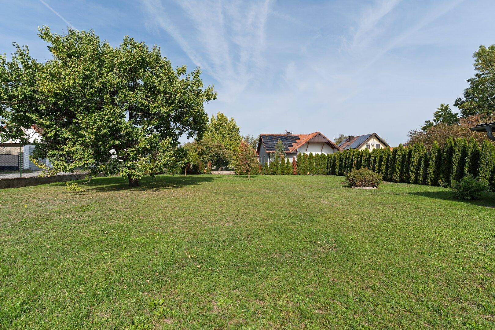 Große, grüne Rasenfläche mit altem Baumbestand und Blick auf die Nachbarhäuser.