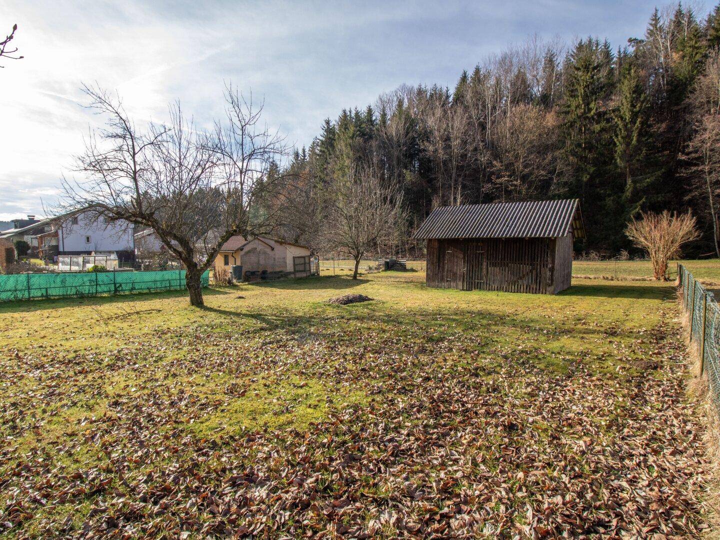Großer Gartenbereich mit Rasenfläche, Bäumen und einem Holzschuppen am Waldrand.
