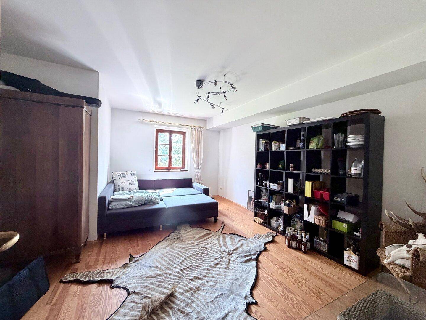 Einfaches Zimmer mit Holzboden, Schlafsofa und einem großen Regal für Stauraum.