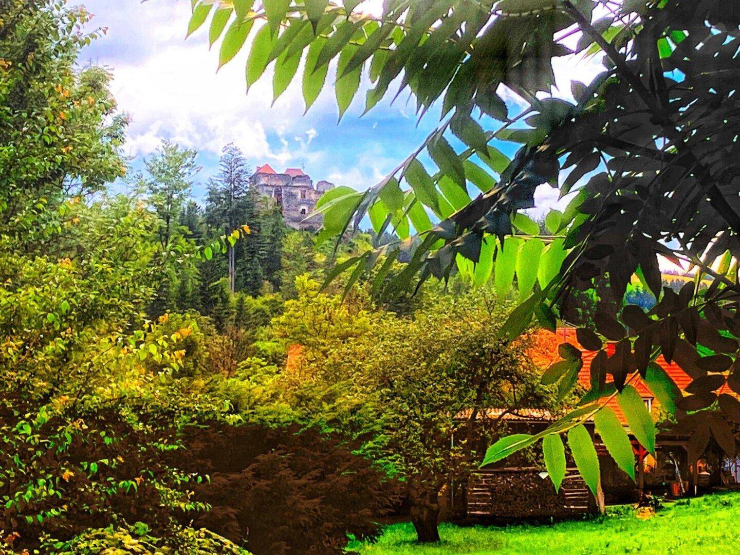 Malerischer Blick auf eine Burg auf einem Hügel, umgeben von dichtem Wald und grüner Landschaft.