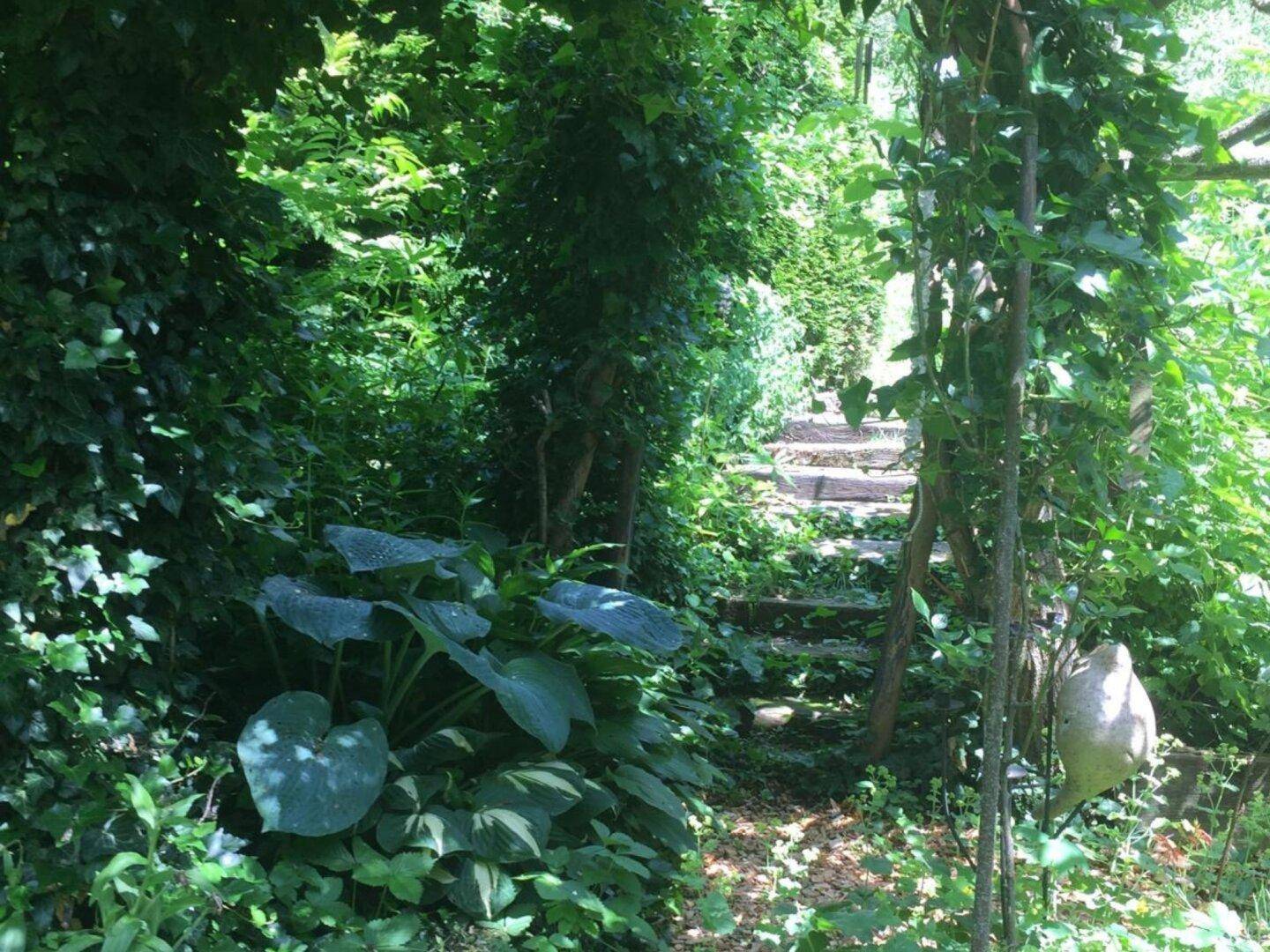 Verwunschener Gartenweg mit Steinstufen, umgeben von dichtem Grün und üppiger Vegetation.