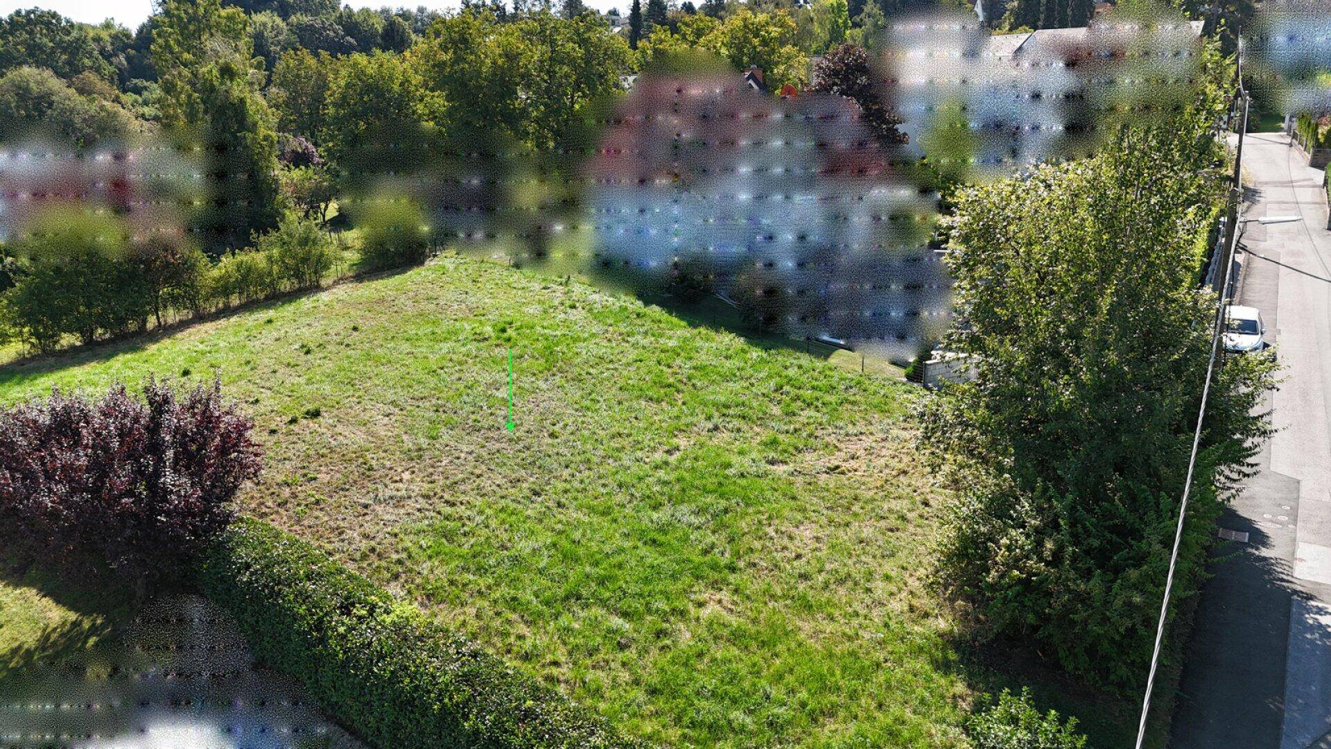 Nahaufnahme eines grünen Grundstücks von oben, begrenzt durch eine Hecke und eine Straße.