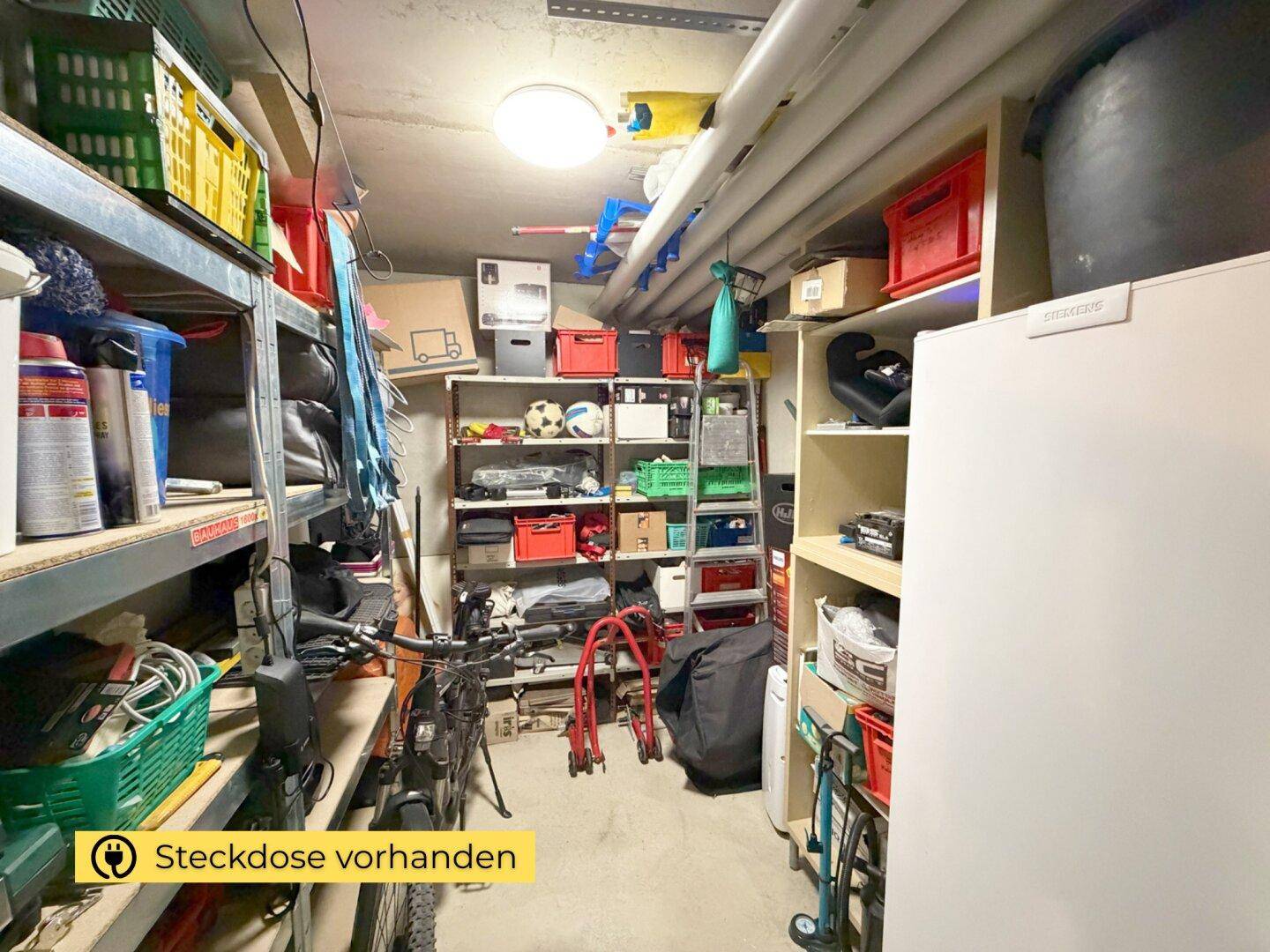 Gut organisierter Abstellraum im Keller mit zahlreichen Regalen und Stauraum für diverse Utensilien.