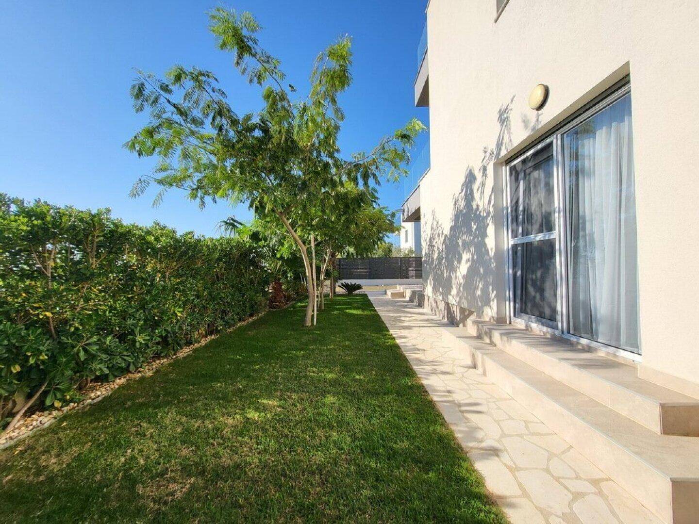 Gepflegter Gartenbereich mit Rasenfläche, Hecke und Zugang zum Haus.