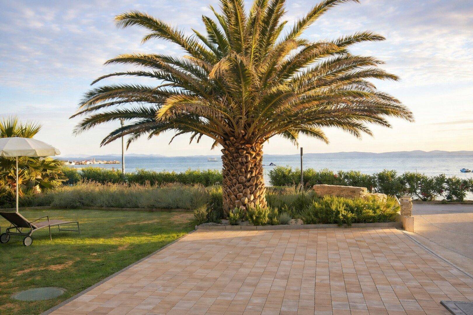 Gepflegter Garten mit großer Palme, Rasenfläche und direktem Blick auf das glitzernde Meer.