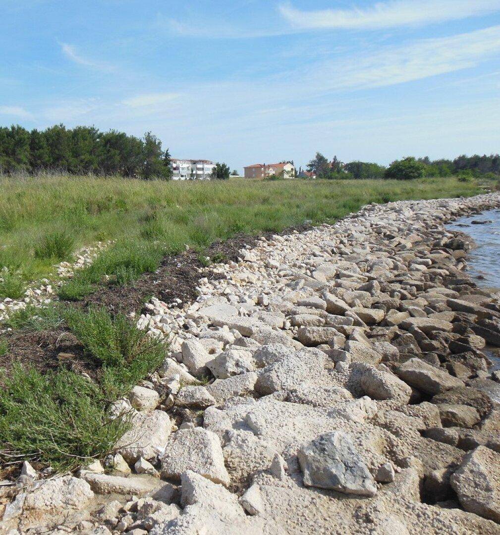 Panoramablick auf die steinige Küstenlinie, grüne Vegetation und das weite Meer.