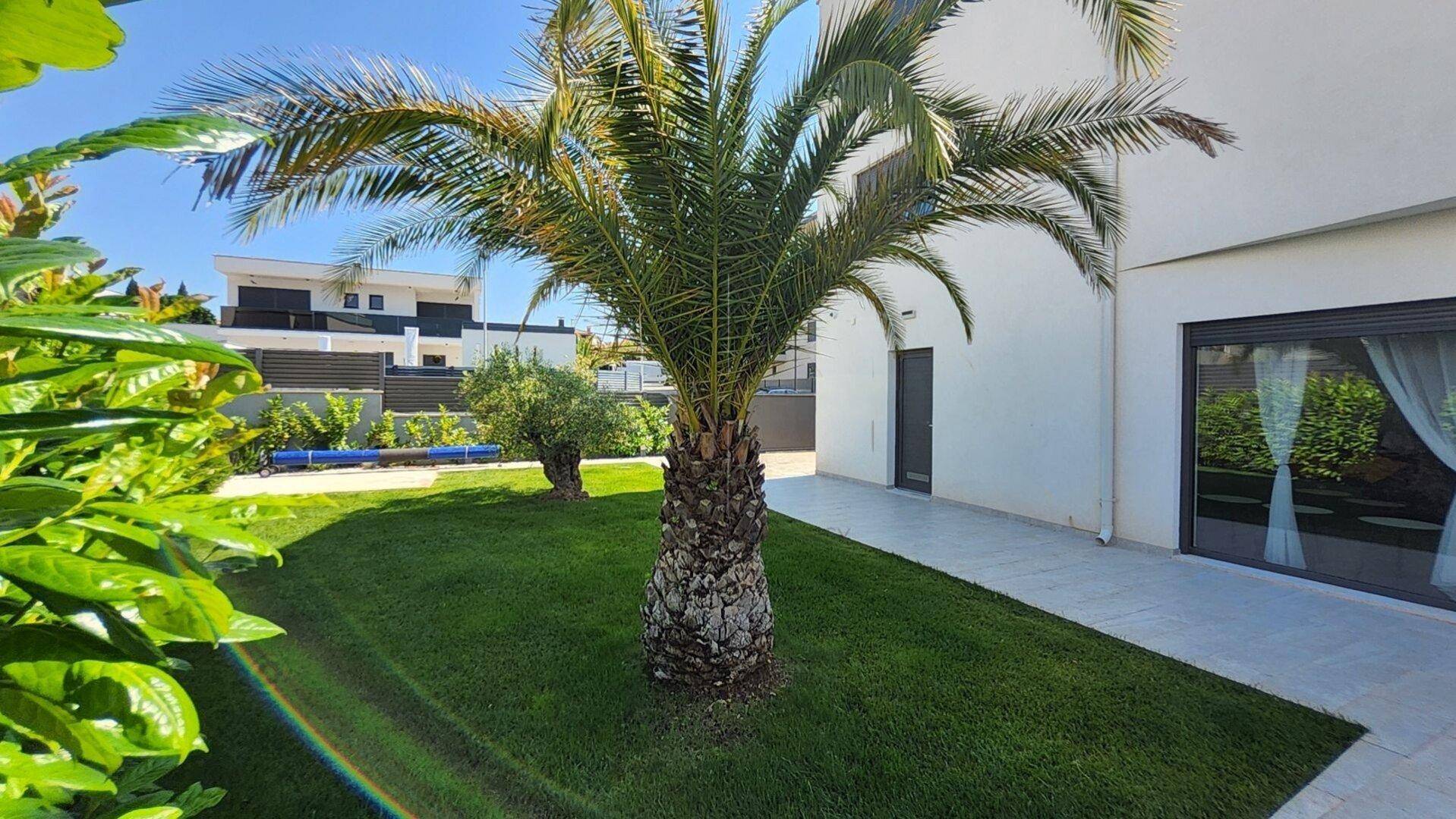 Sonnige Rasenfläche mit einer Palme und mediterranen Pflanzen vor der modernen Villa.