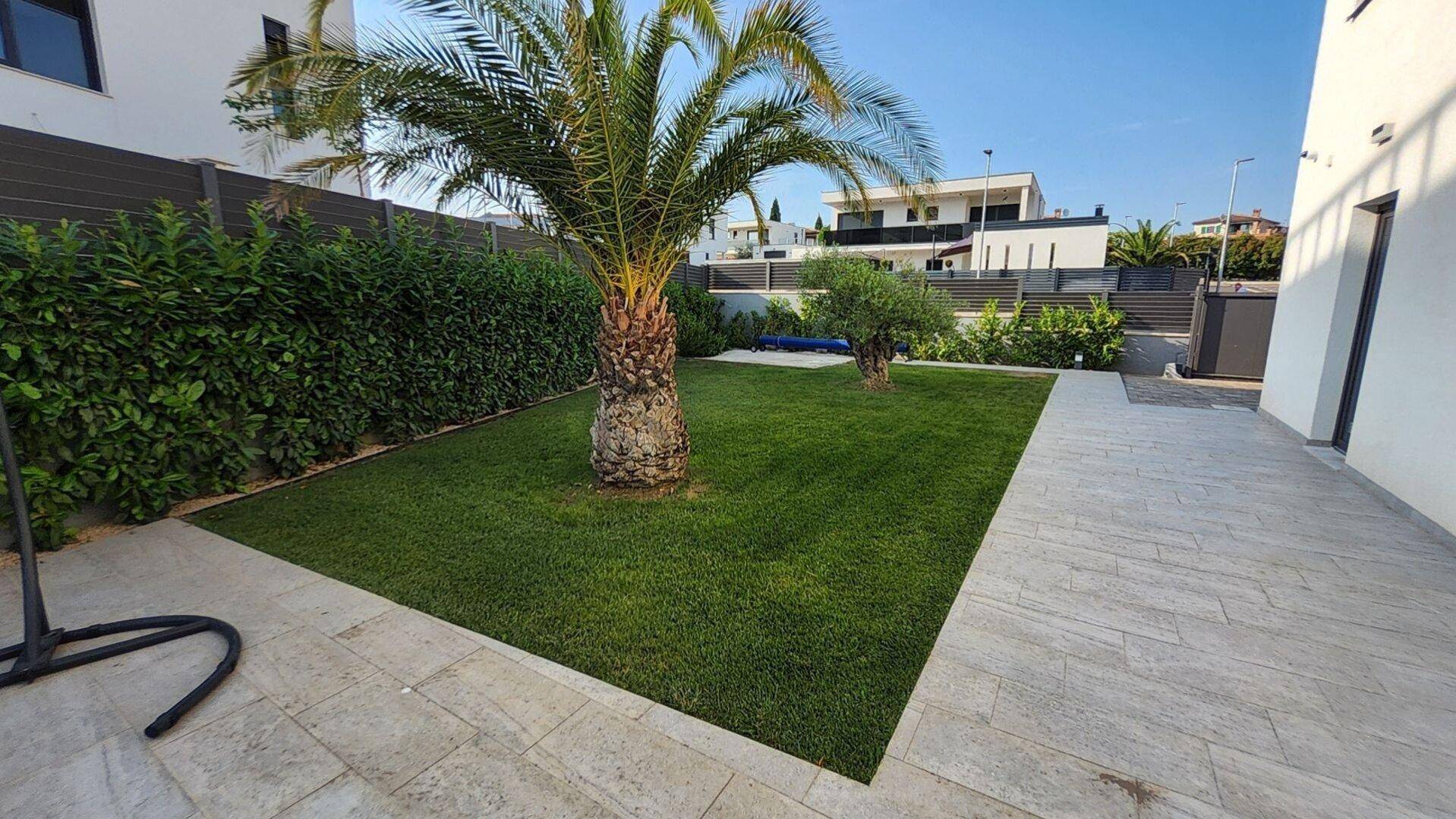Gepflegter Gartenbereich mit Rasenfläche und einer großen Palme vor moderner Architektur.