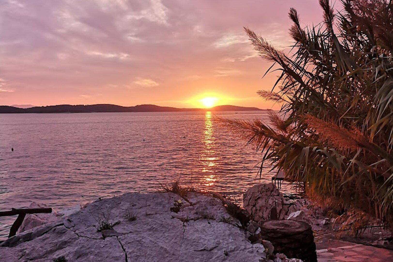 Ruhiger Sonnenuntergang über dem Meer mit Schilf im Vordergrund, schafft eine friedliche Atmosphäre.