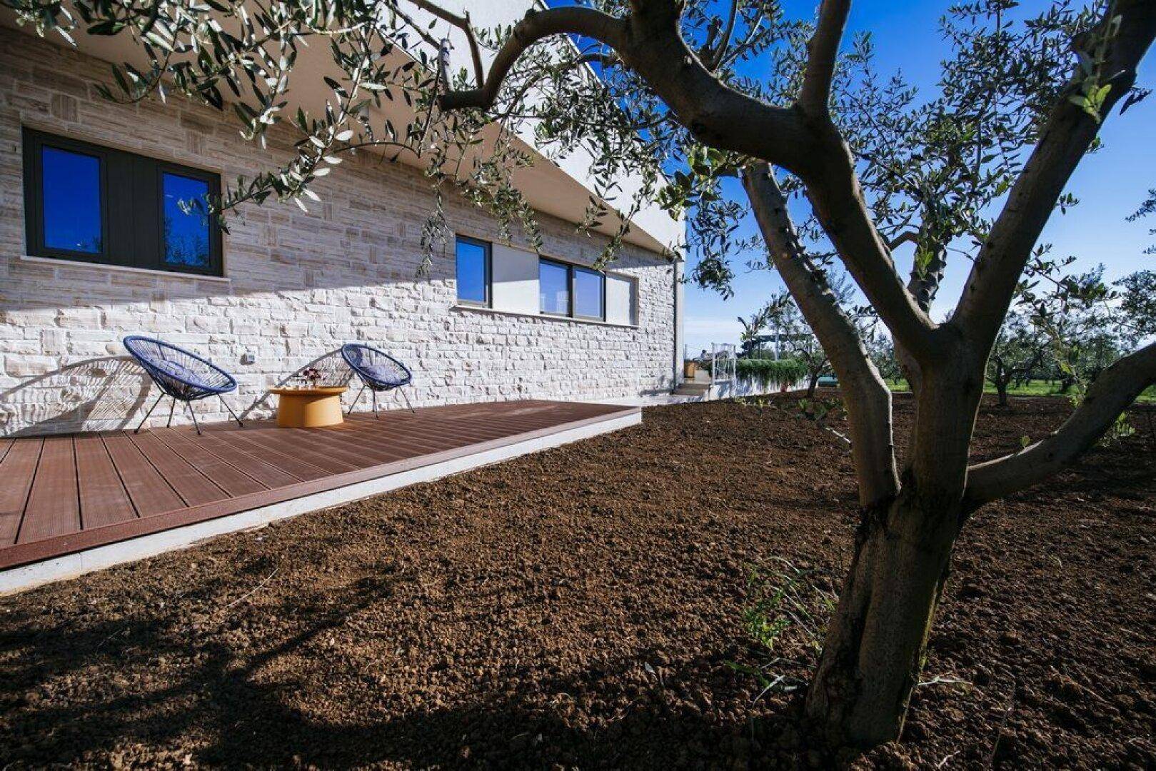 Seitenansicht des Hauses mit Holzterrasse und einem alten Olivenbaum im Vordergrund.