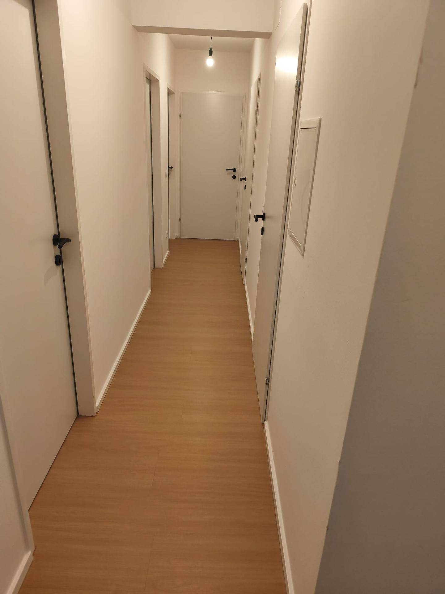 Langer, heller Flur mit mehreren Türen und durchgehendem Laminatboden.