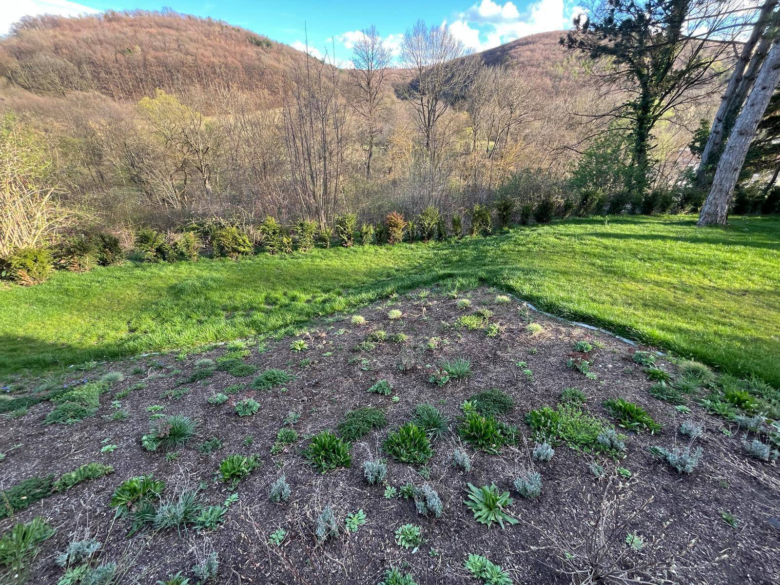 Neu angelegter Gartenbereich mit frischer Bepflanzung und Rasenfläche.