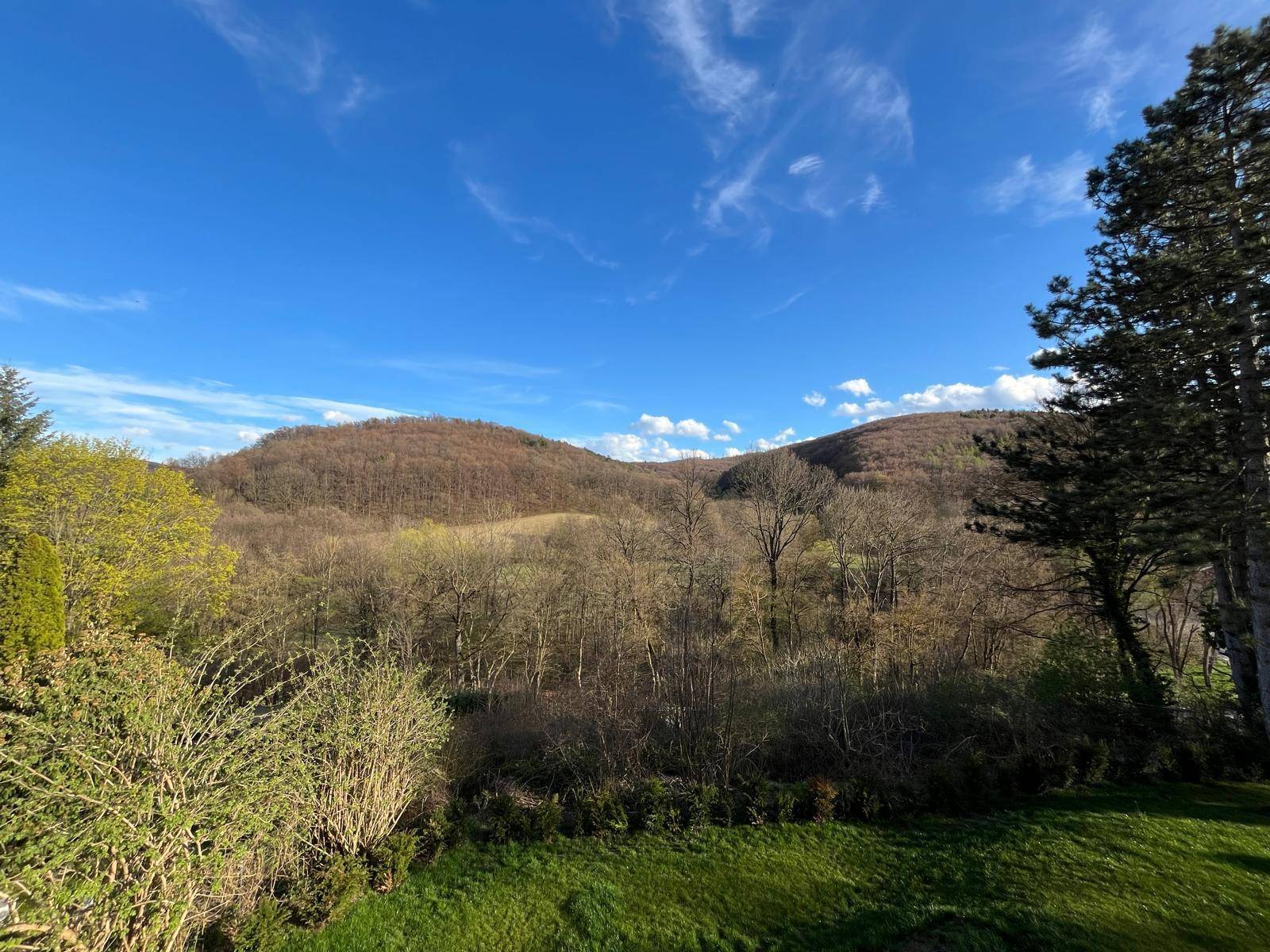 Weitläufiger Blick auf die hügelige Landschaft und grüne Natur vom Grundstück aus.