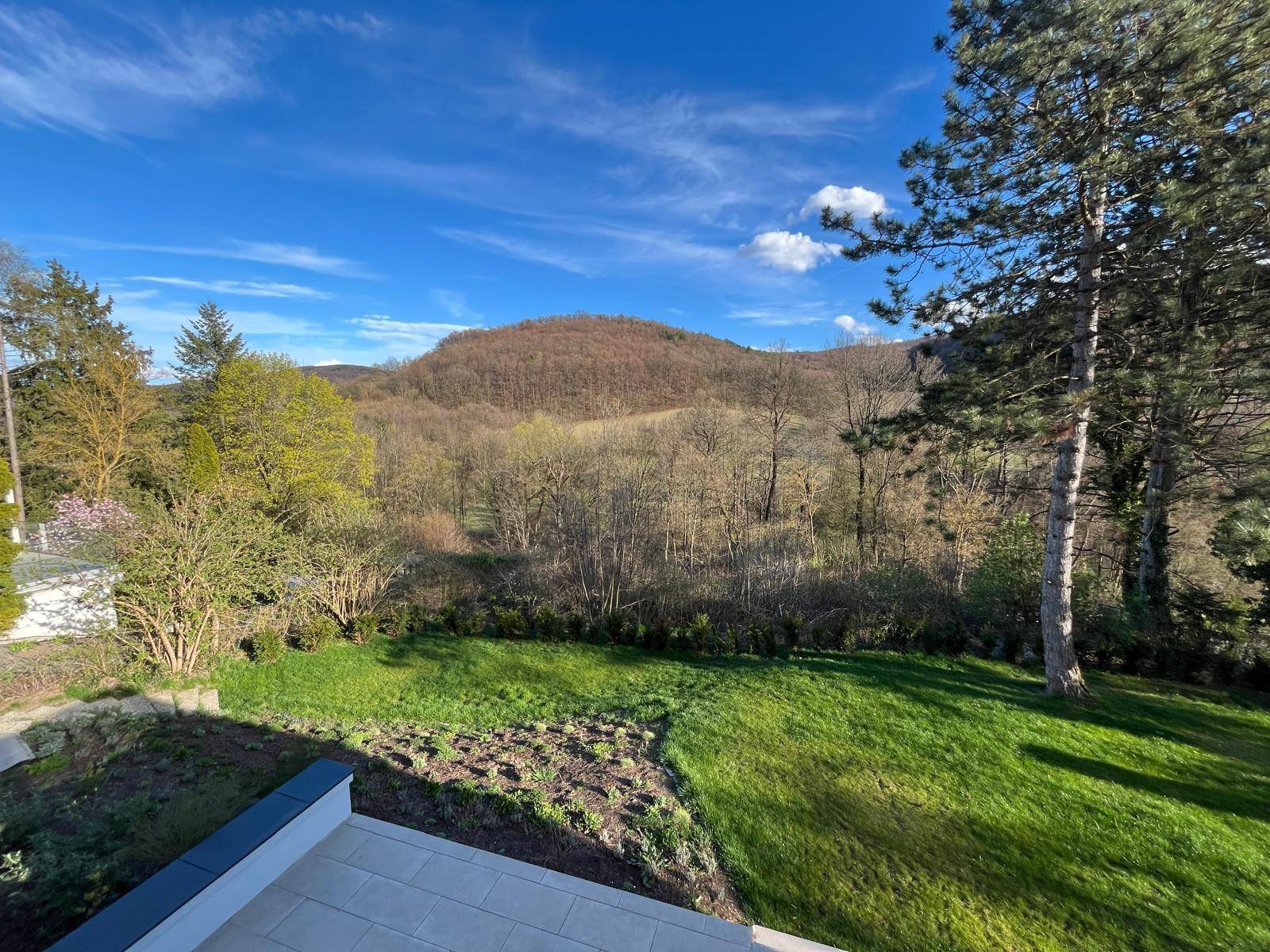 Weitläufiger Blick auf die hügelige Landschaft und grüne Natur vom Grundstück aus.