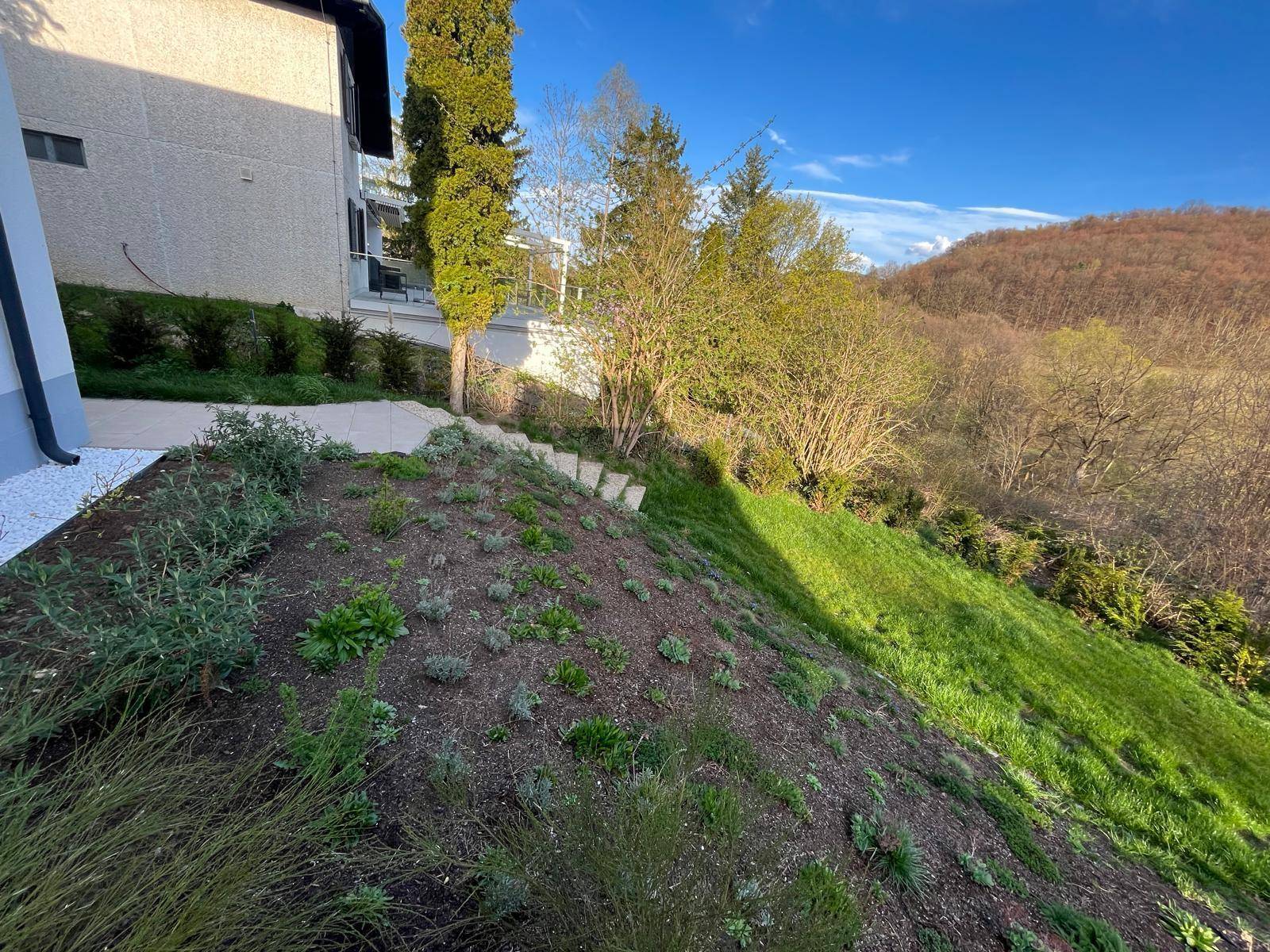 Abfallender Gartenbereich mit frischer Bepflanzung und Blick auf die umliegende Natur.