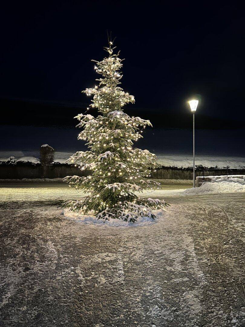 Festlich beleuchteter Weihnachtsbaum im Freien, umgeben von Schnee in der Nacht, sehr stimmungsvoll.