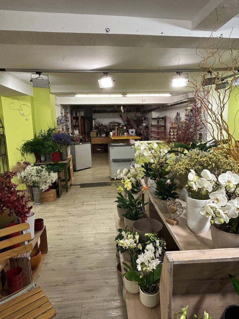 Heller Innenraum eines Blumenladens mit vielfältigen Pflanzenarrangements und Holzoptikboden.