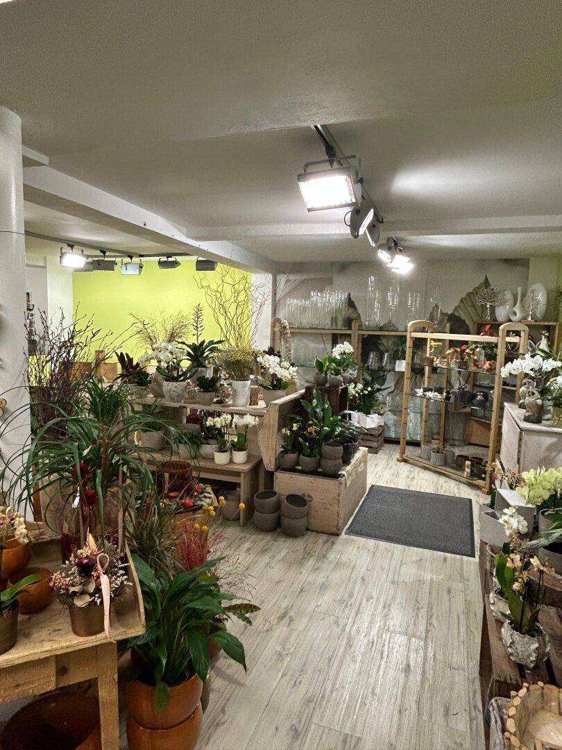Geräumiger Blumenladen mit zahlreichen Pflanzen, dekorativen Elementen und Regalen für den Verkauf.