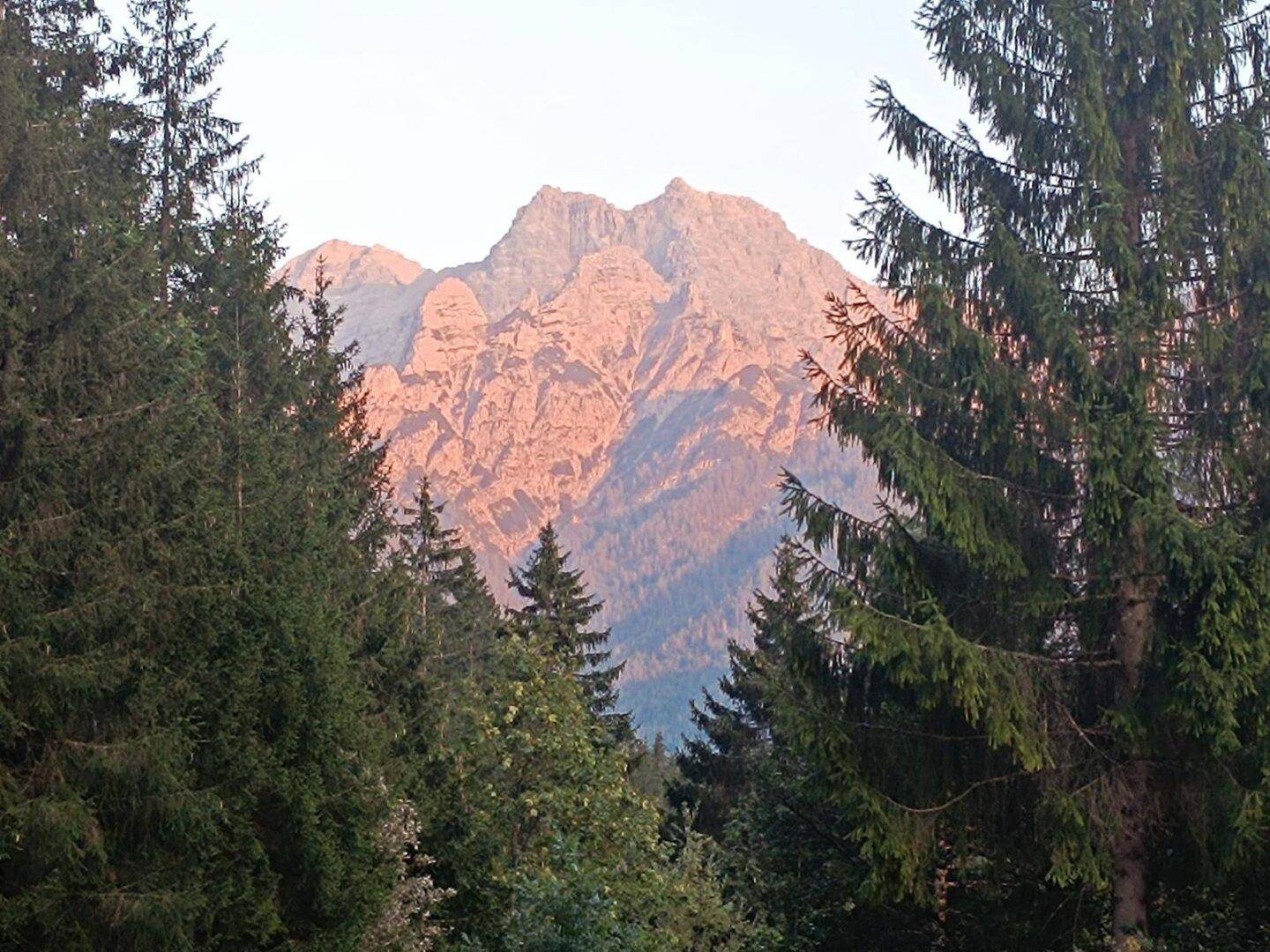 Nahaufnahme eines imposanten Berggipfels, der durch die Baumwipfel eines Nadelwaldes sichtbar ist.