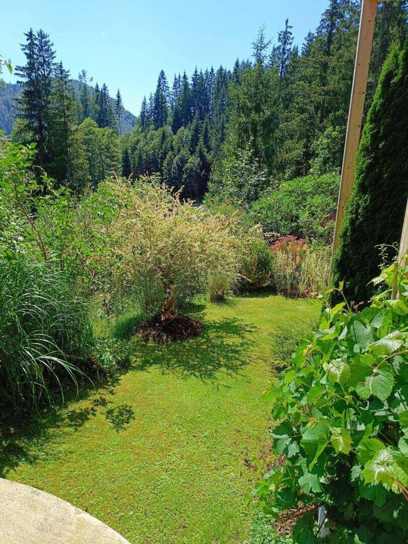 Gepflegter Gartenbereich mit Rasenfläche, verschiedenen Bäumen und Sträuchern, umgeben von Wald.