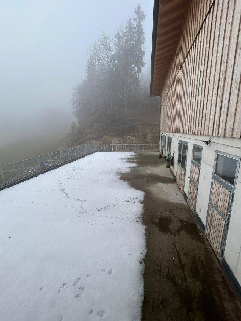 Seitenansicht eines Gebäudes mit Holzwänden und Schnee auf dem Vorplatz.
