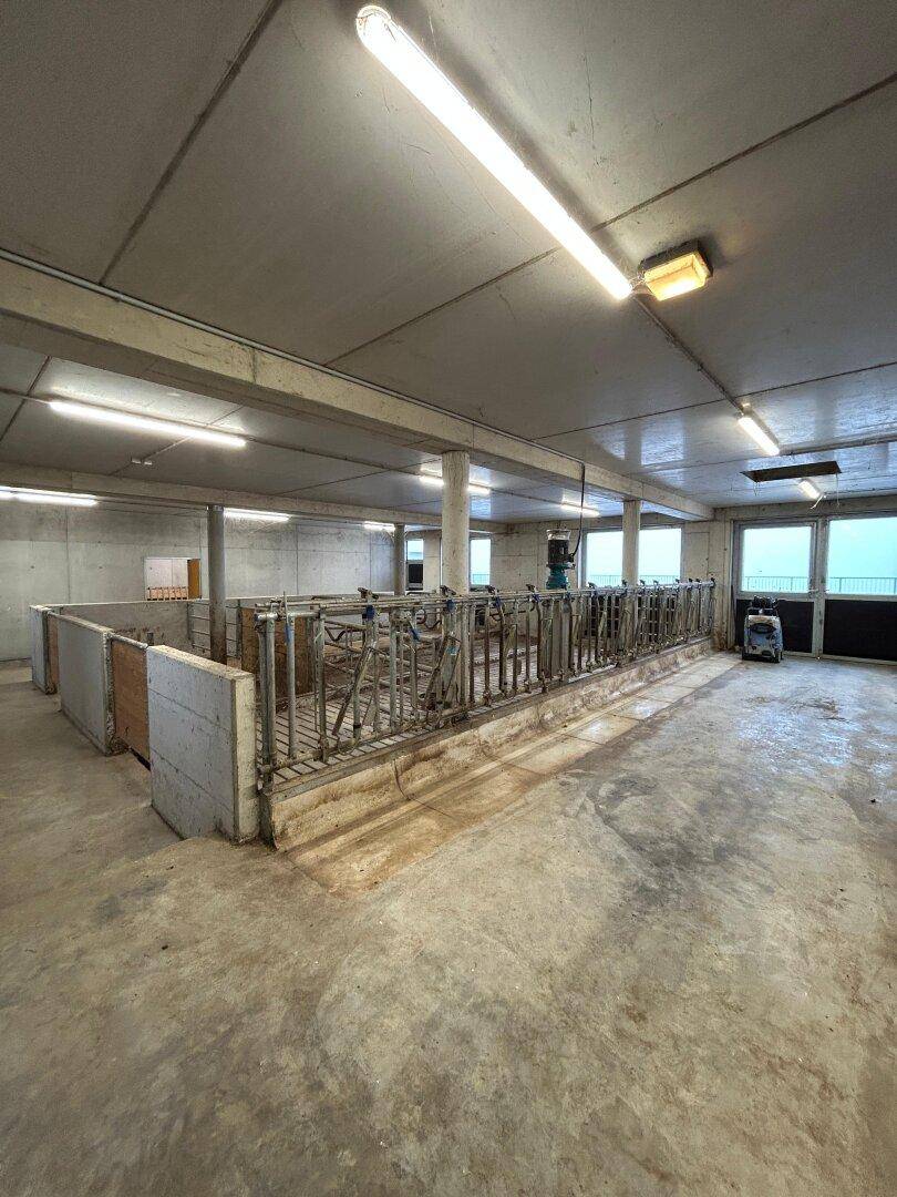 Geräumiger Stallbereich mit Betonboden und Metallabtrennungen für Tiere.