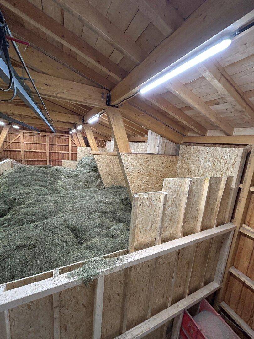Großer Heuboden mit Holzkonstruktion und gelagertem Heu.