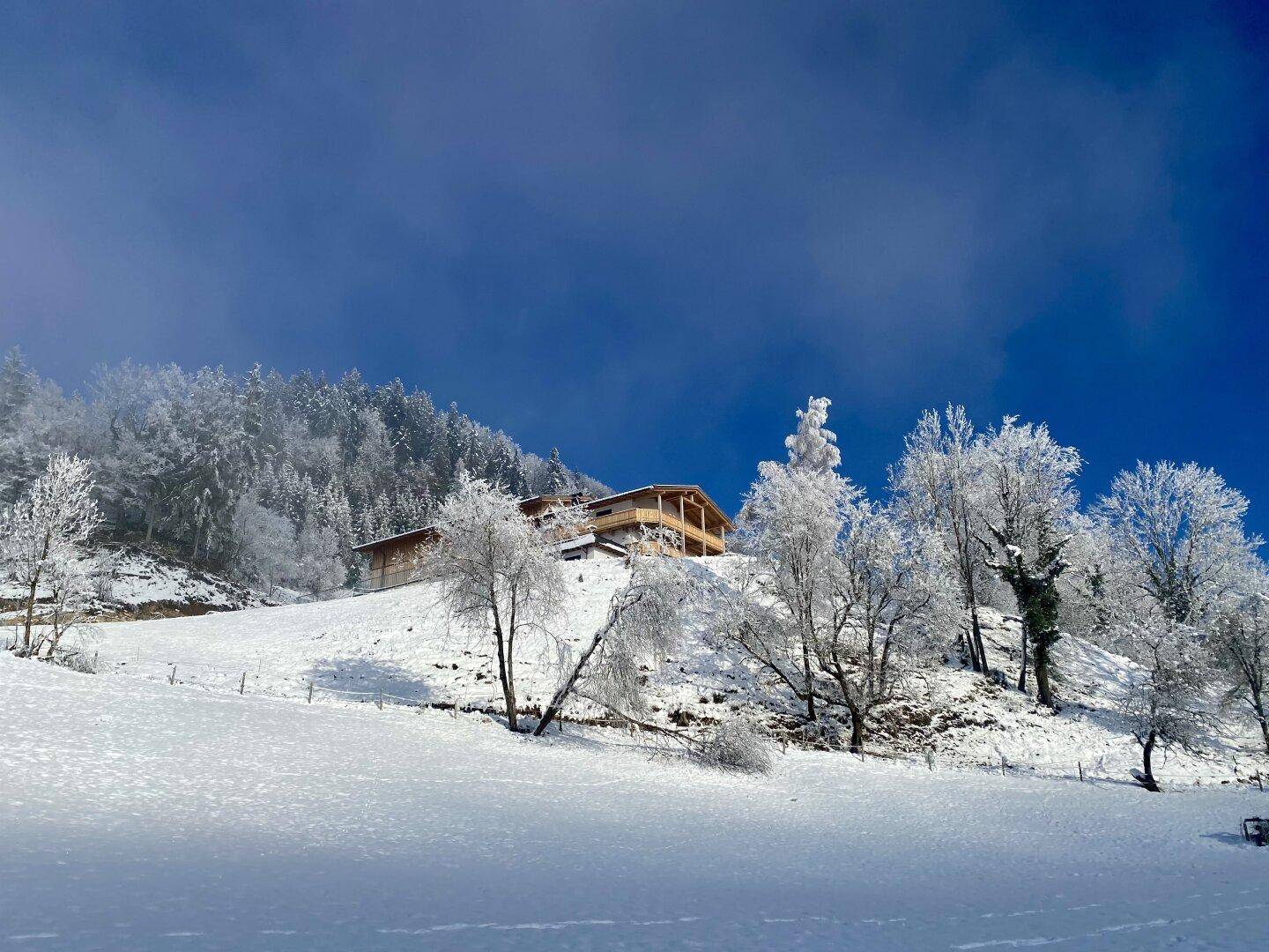 Winterlandschaft mit schneebedeckten Bäumen und einem Haus auf einem Hügel unter blauem Himmel.