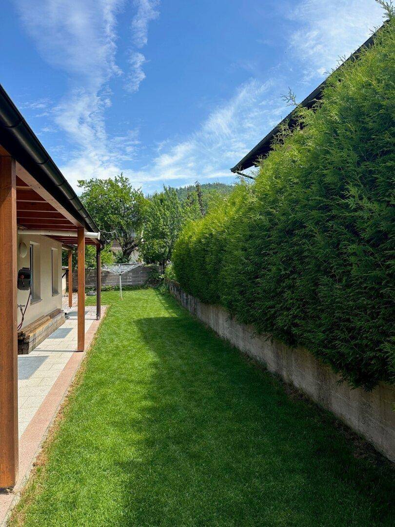 Gepflegter Gartenbereich mit Rasenfläche und hoher Hecke, umgeben von Bäumen und Natur.