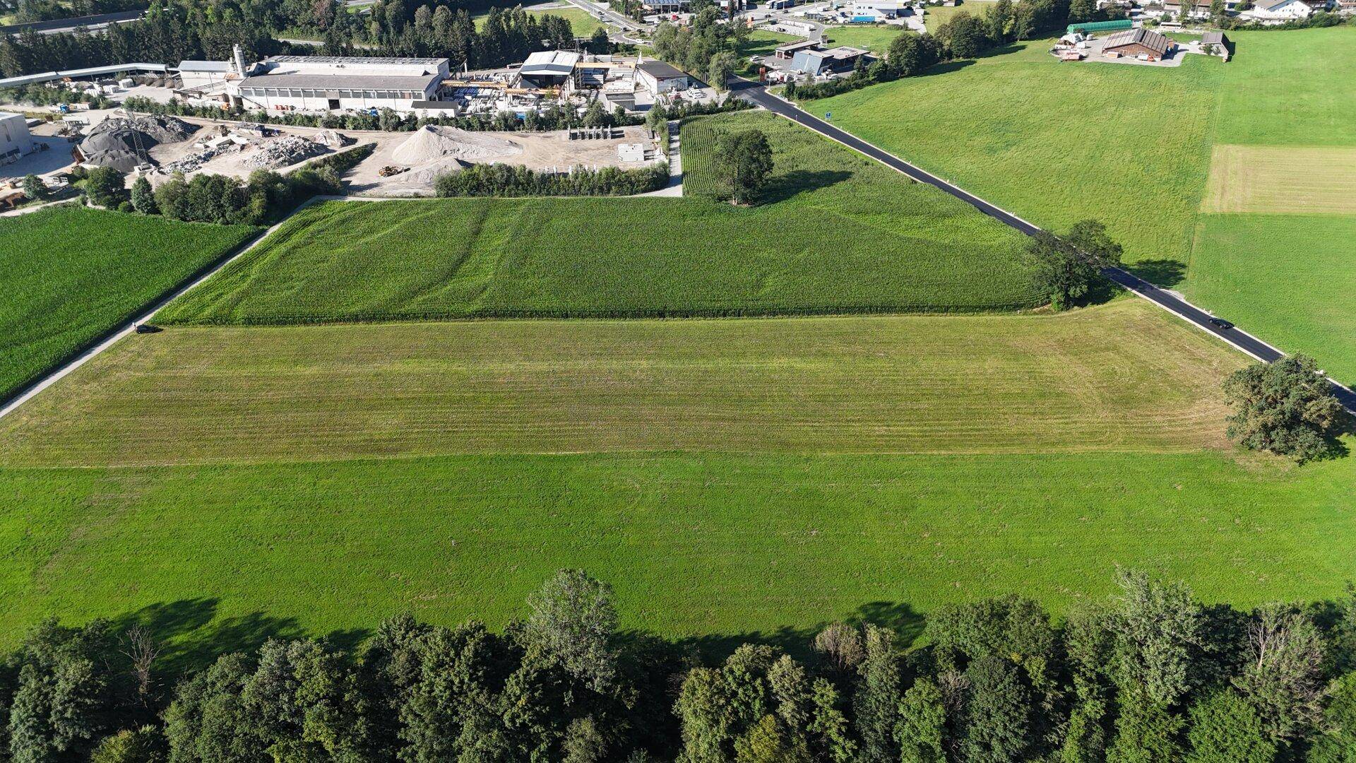 Weitläufige Luftaufnahme mit grünen Feldern, Waldrand und einigen Gebäuden in der Ferne.