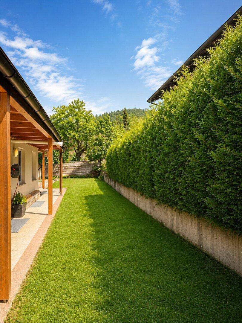 Gepflegter Gartenbereich mit Rasenfläche und hoher Hecke für Privatsphäre.