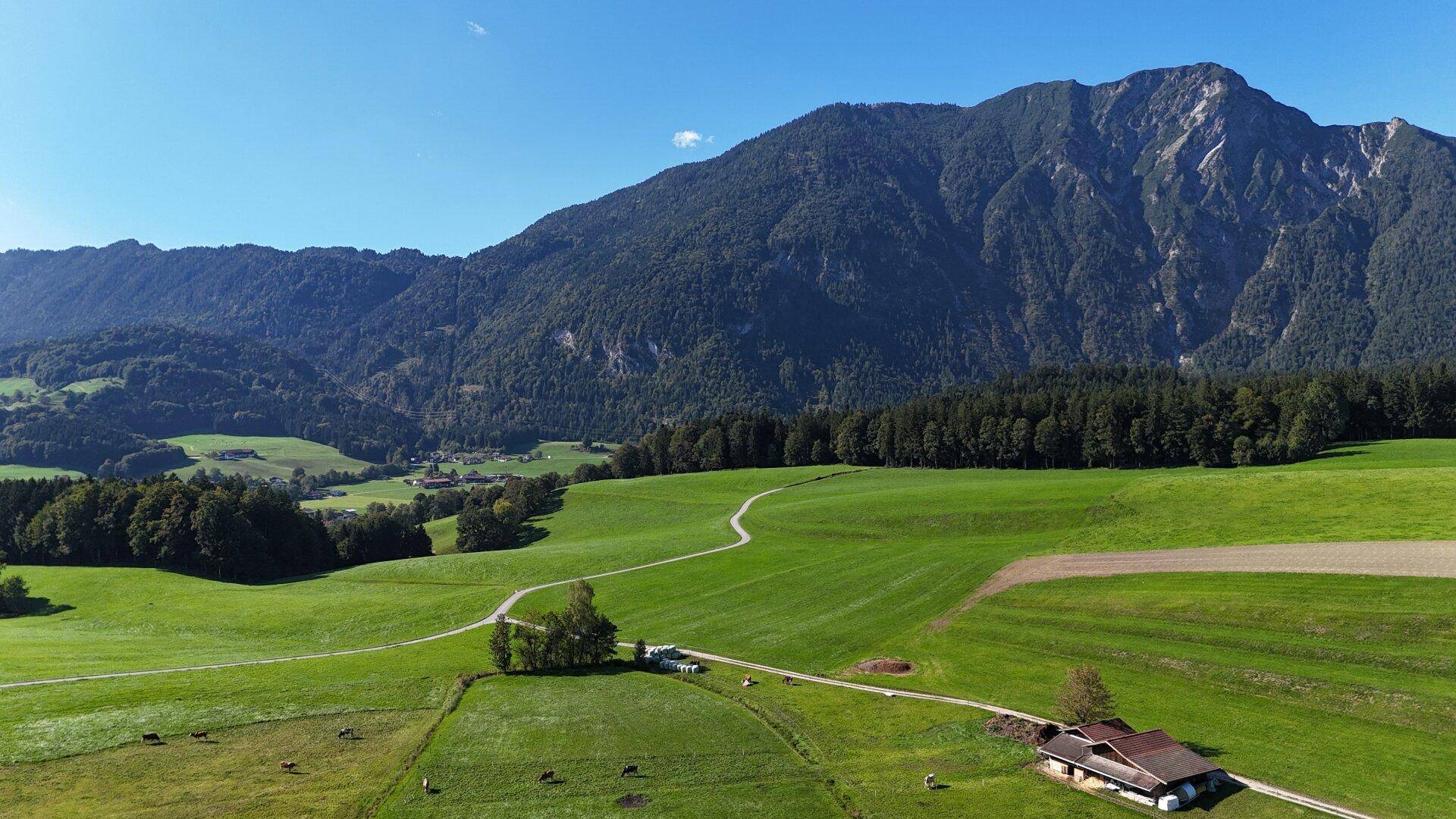 Idyllische Landschaft mit weiten grünen Feldern, einem Bauernhof und einem imposanten bewaldeten Berg im Hintergrund.