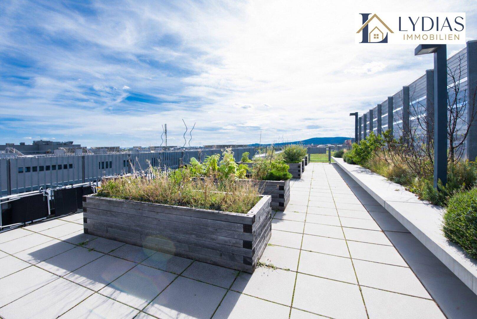 Gemeinschaftsdachterrasse