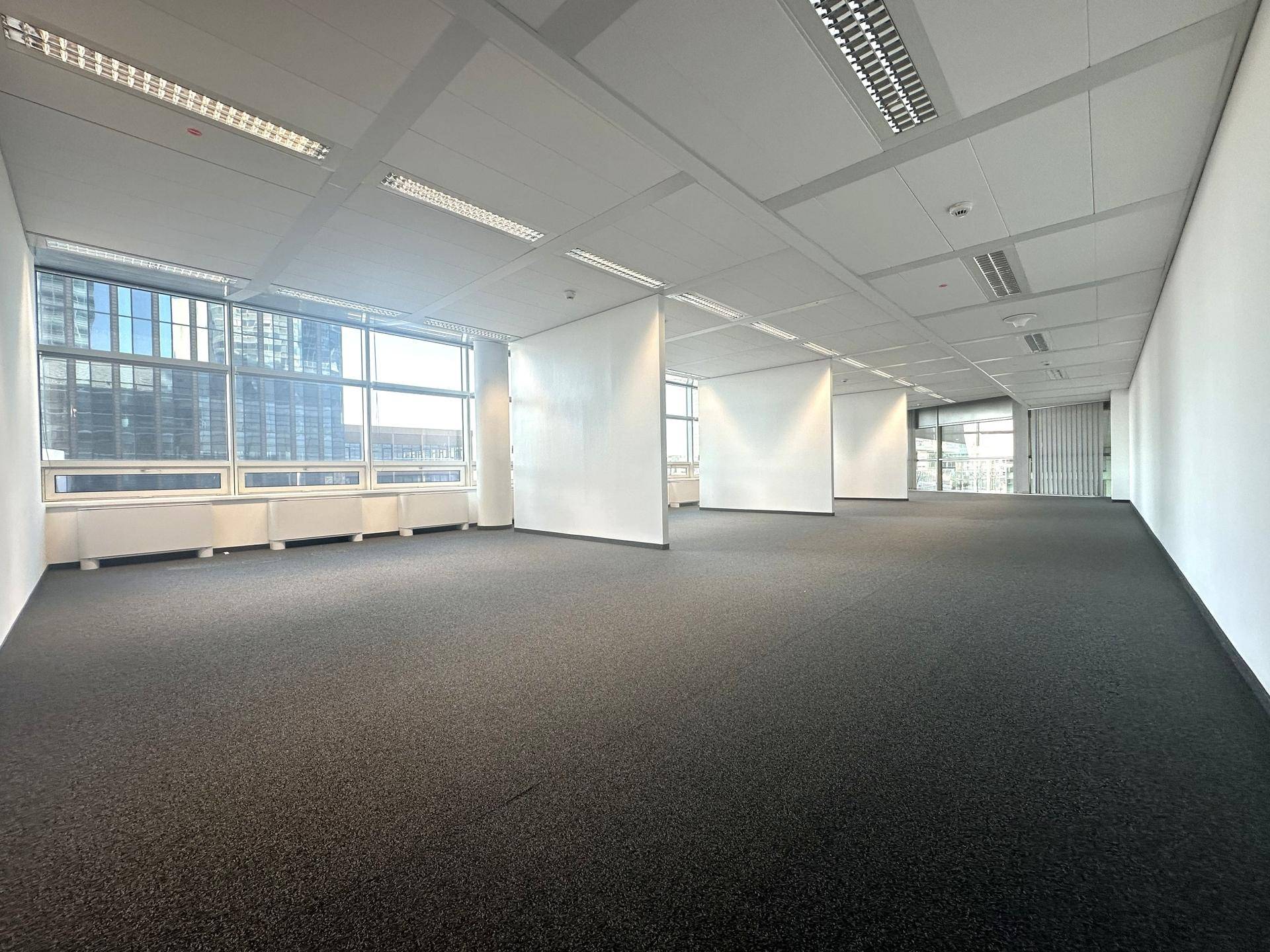 Geräumiges, leeres Büro mit Teppichboden und großen Fenstern, die viel Tageslicht hereinlassen.
