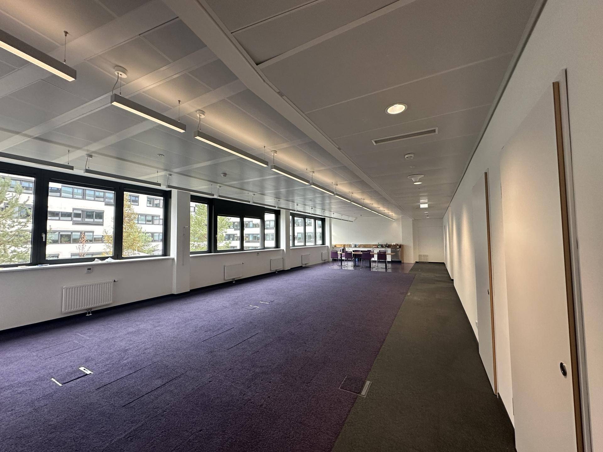 Großer Bürobereich mit lila Teppichboden, langen Fensterfronten und moderner Deckenbeleuchtung.