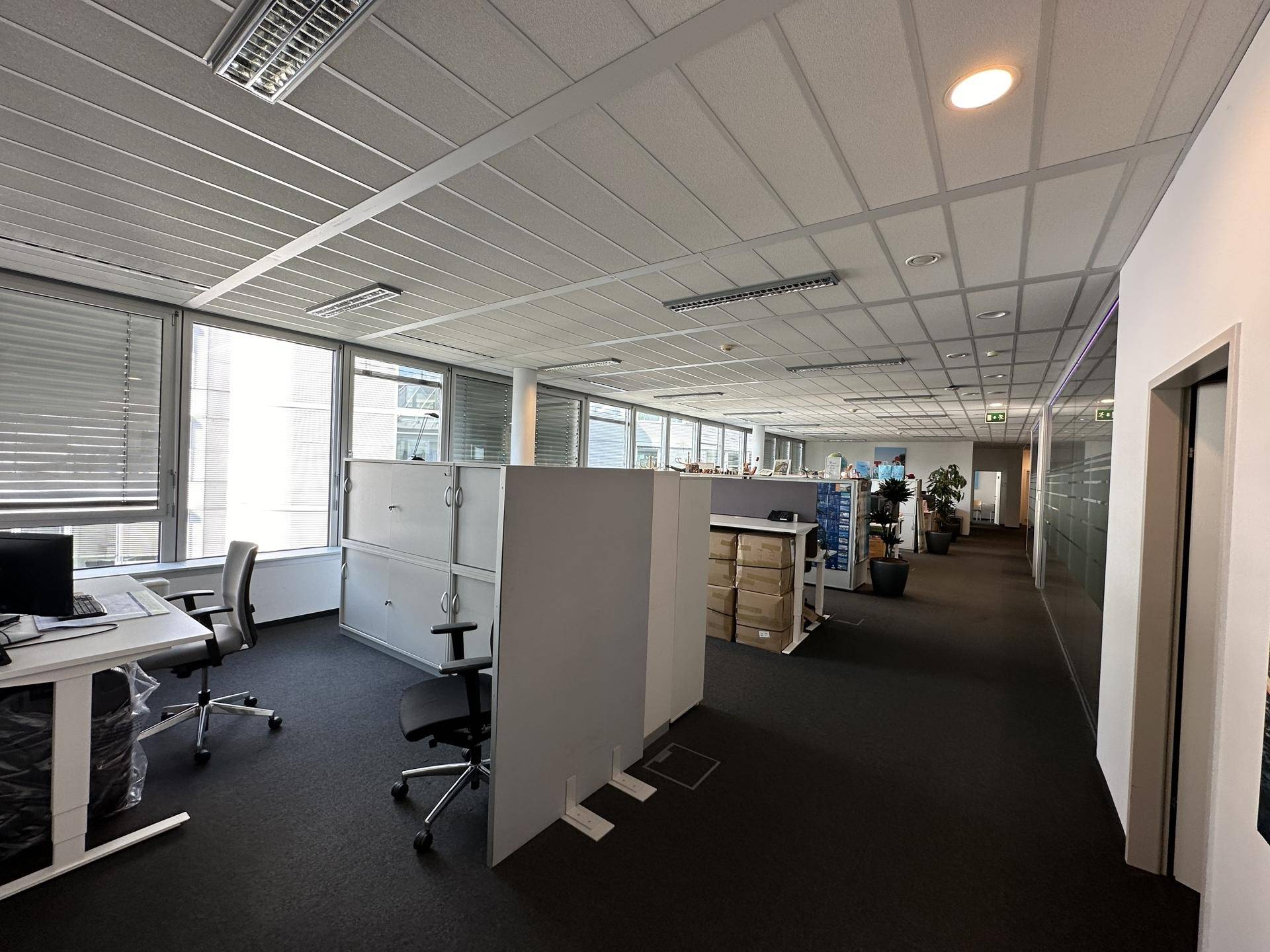 Offenes Büro mit Arbeitskabinen, Teppichboden und großen Fenstern, die viel Tageslicht hereinlassen.