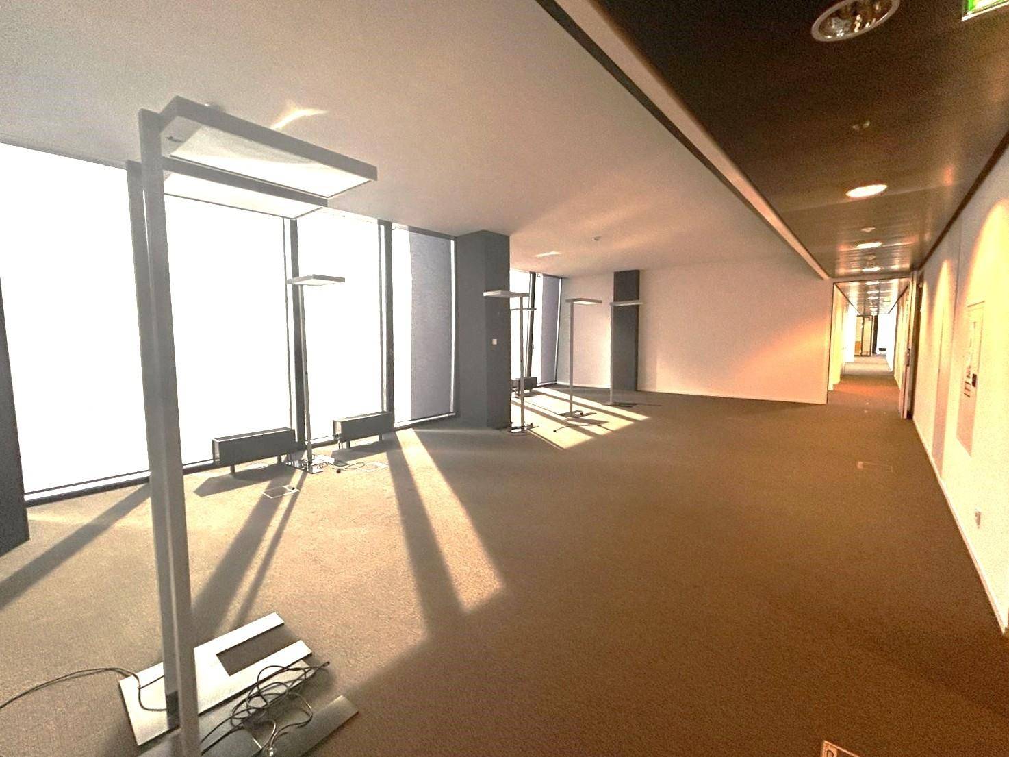 Heller, leerer Bürobereich mit großen Fenstern, Teppichboden und einem langen Flur.