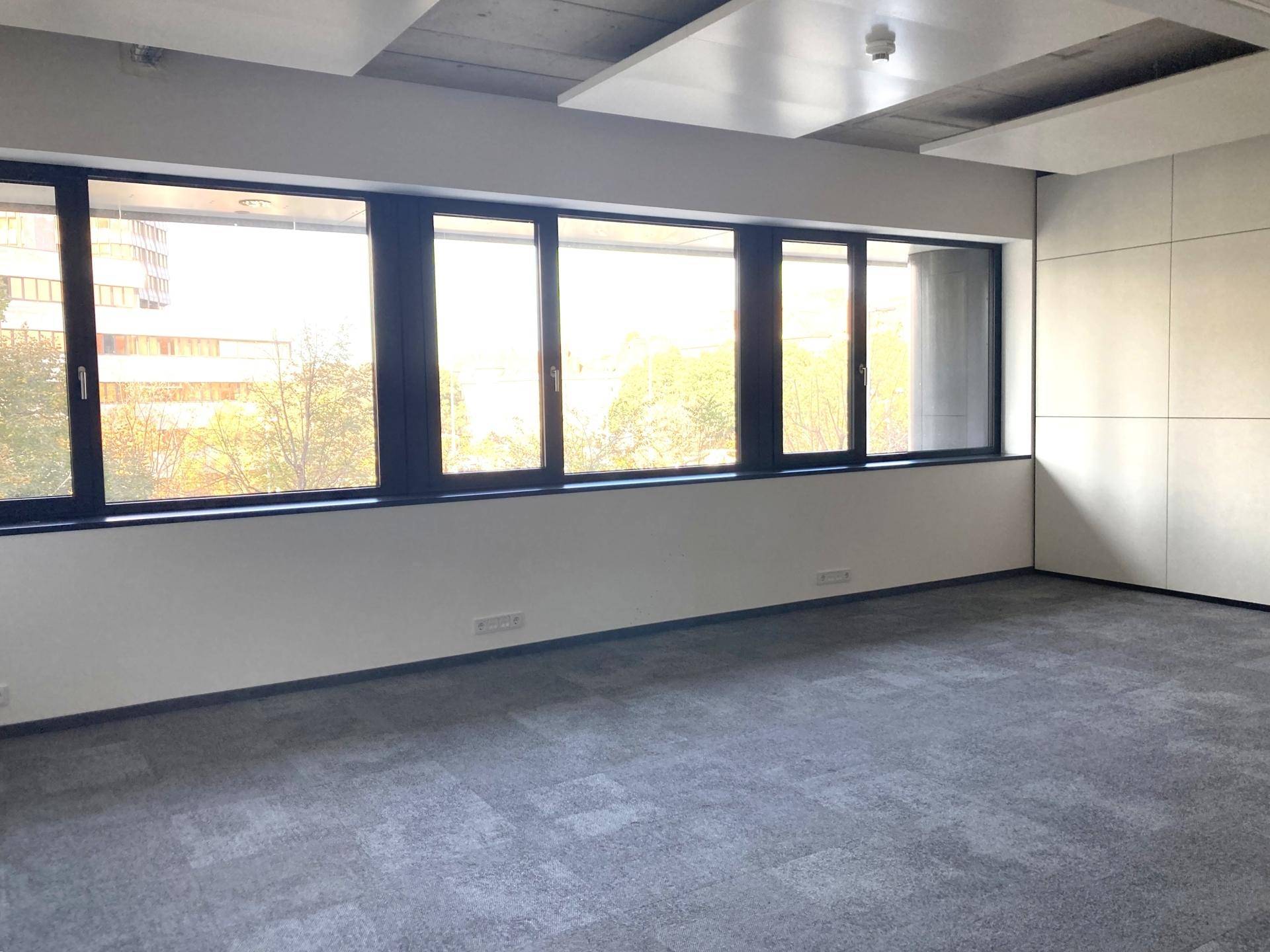 Leeres Büro mit grauem Teppichboden, großen Fenstern und schlichten weißen Wänden, bereit zur Einrichtung.