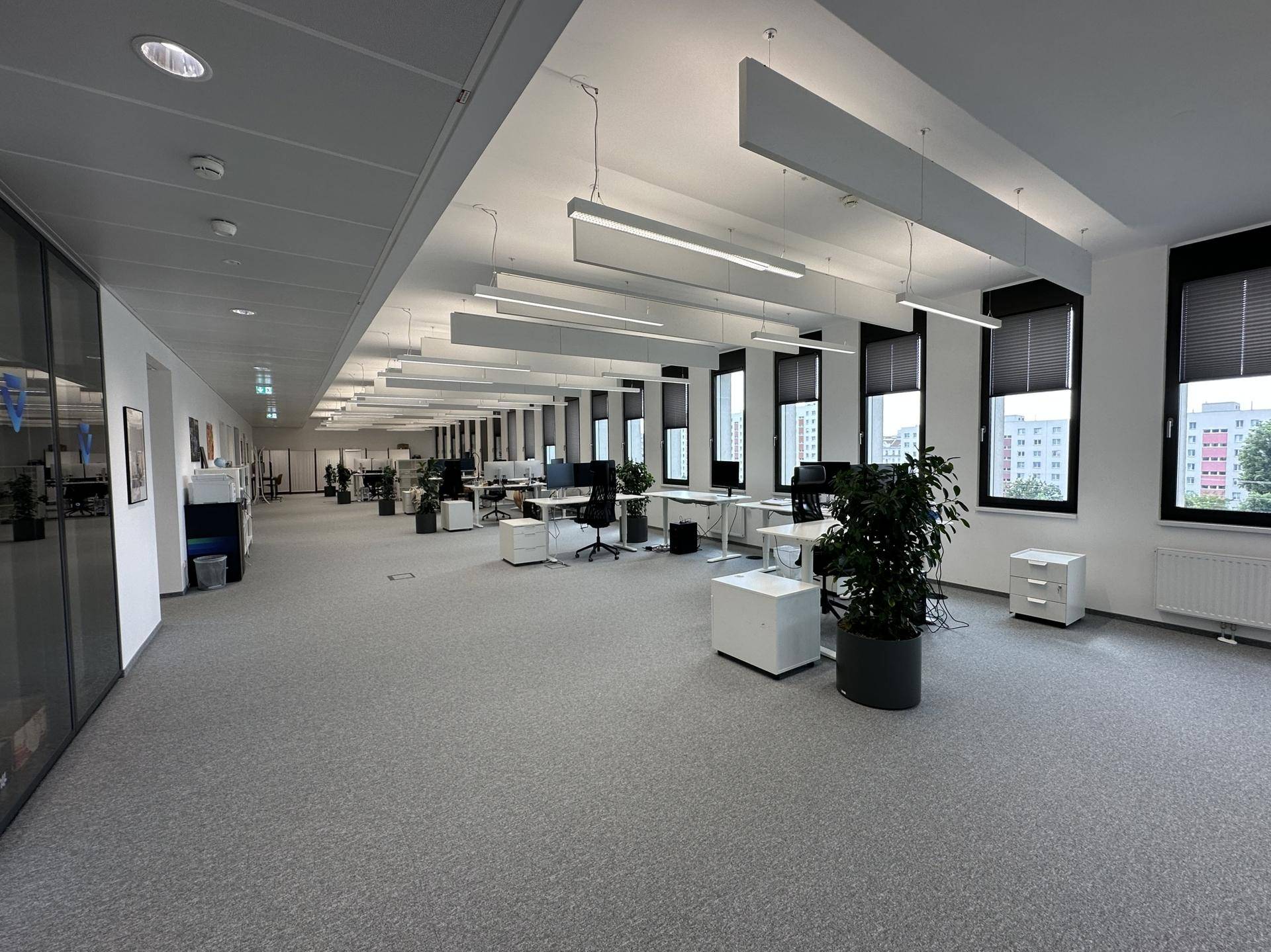 Weitläufiger offener Bürobereich mit zahlreichen Arbeitsplätzen, grauen Teppichböden und viel Tageslicht.