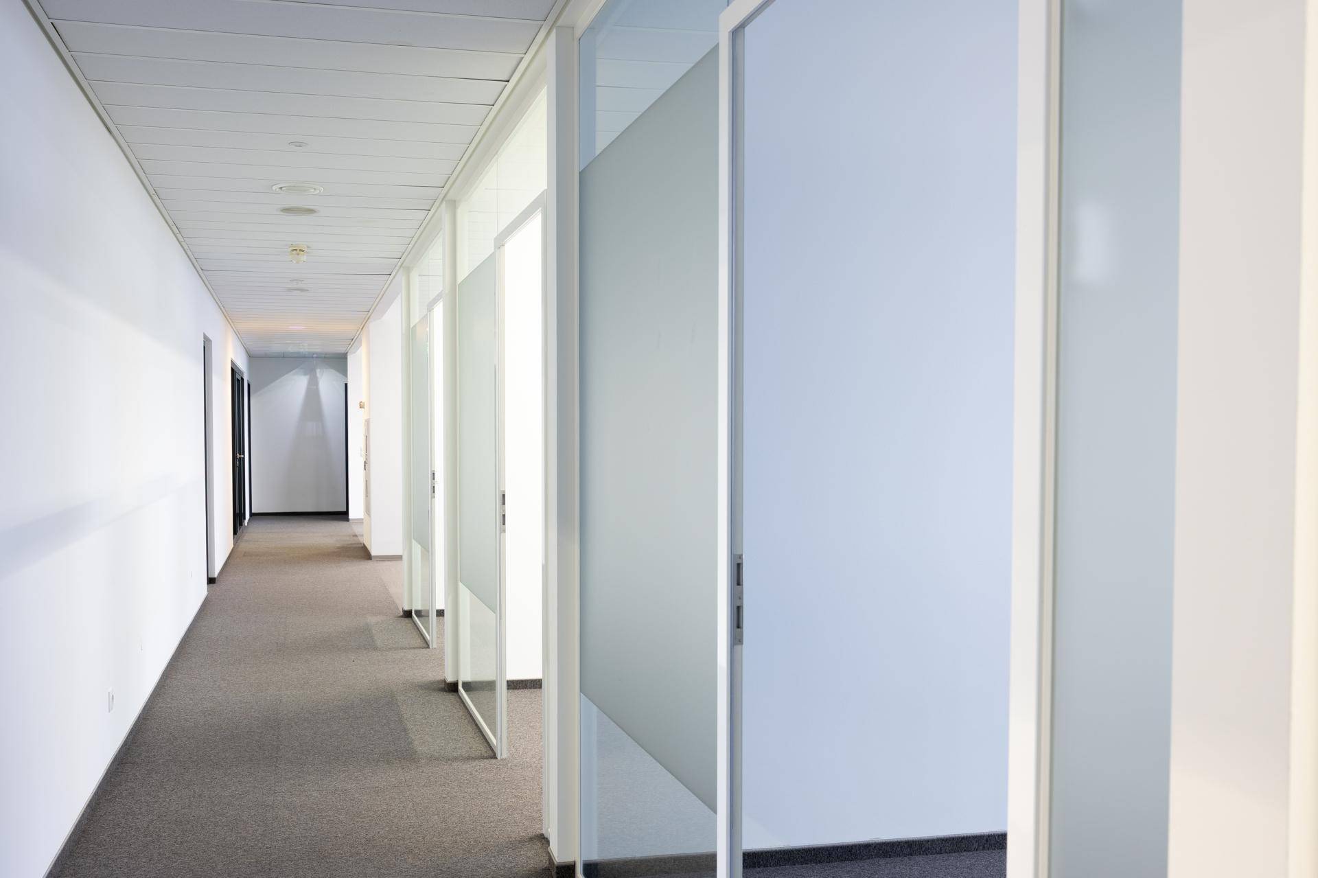 Langer Bürogang mit Teppichboden und modernen Glaswänden, die zu den einzelnen Büros führen.