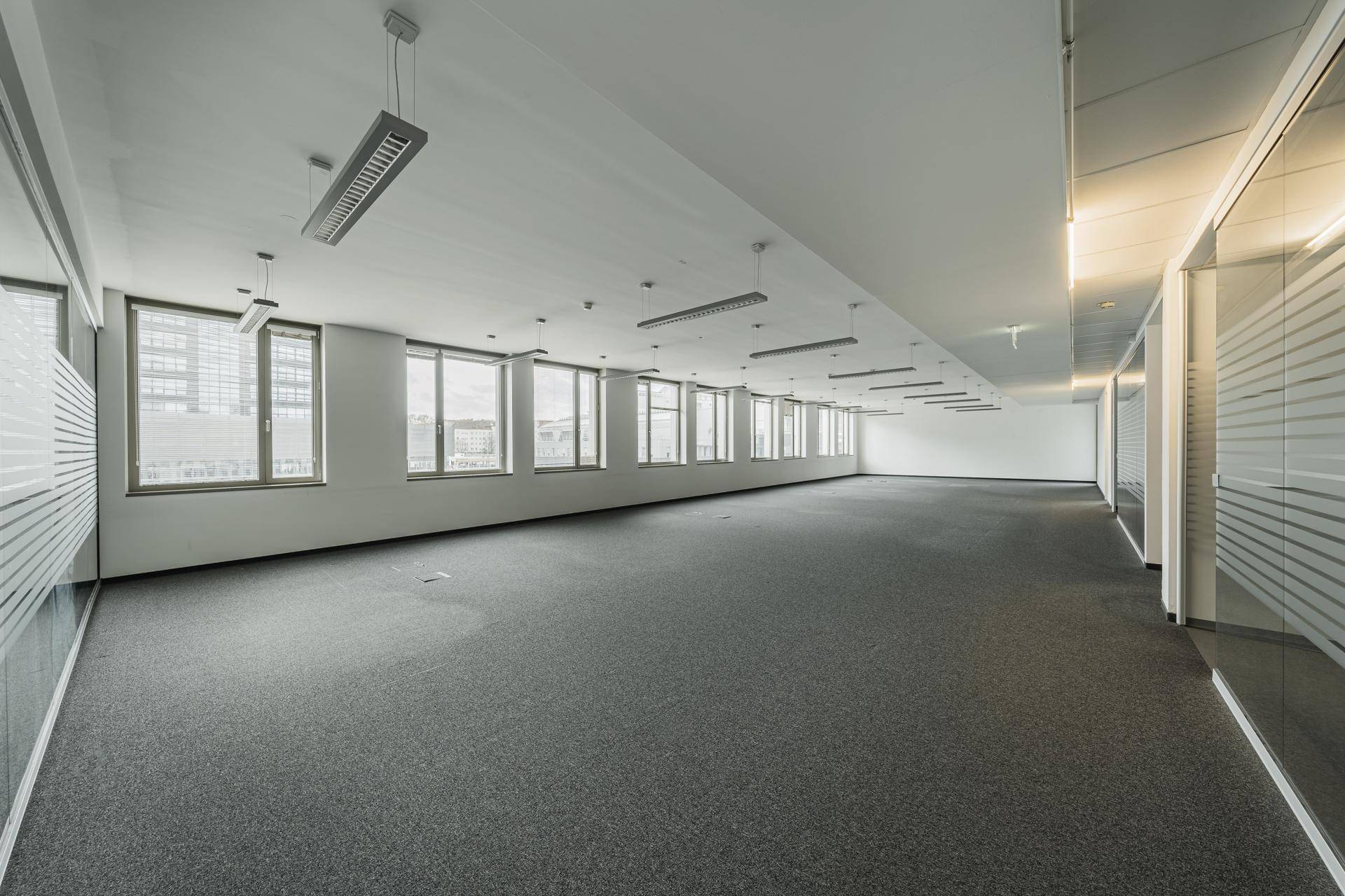 Großes, leeres Büro mit Teppichboden, vielen Fenstern und moderner Beleuchtung.