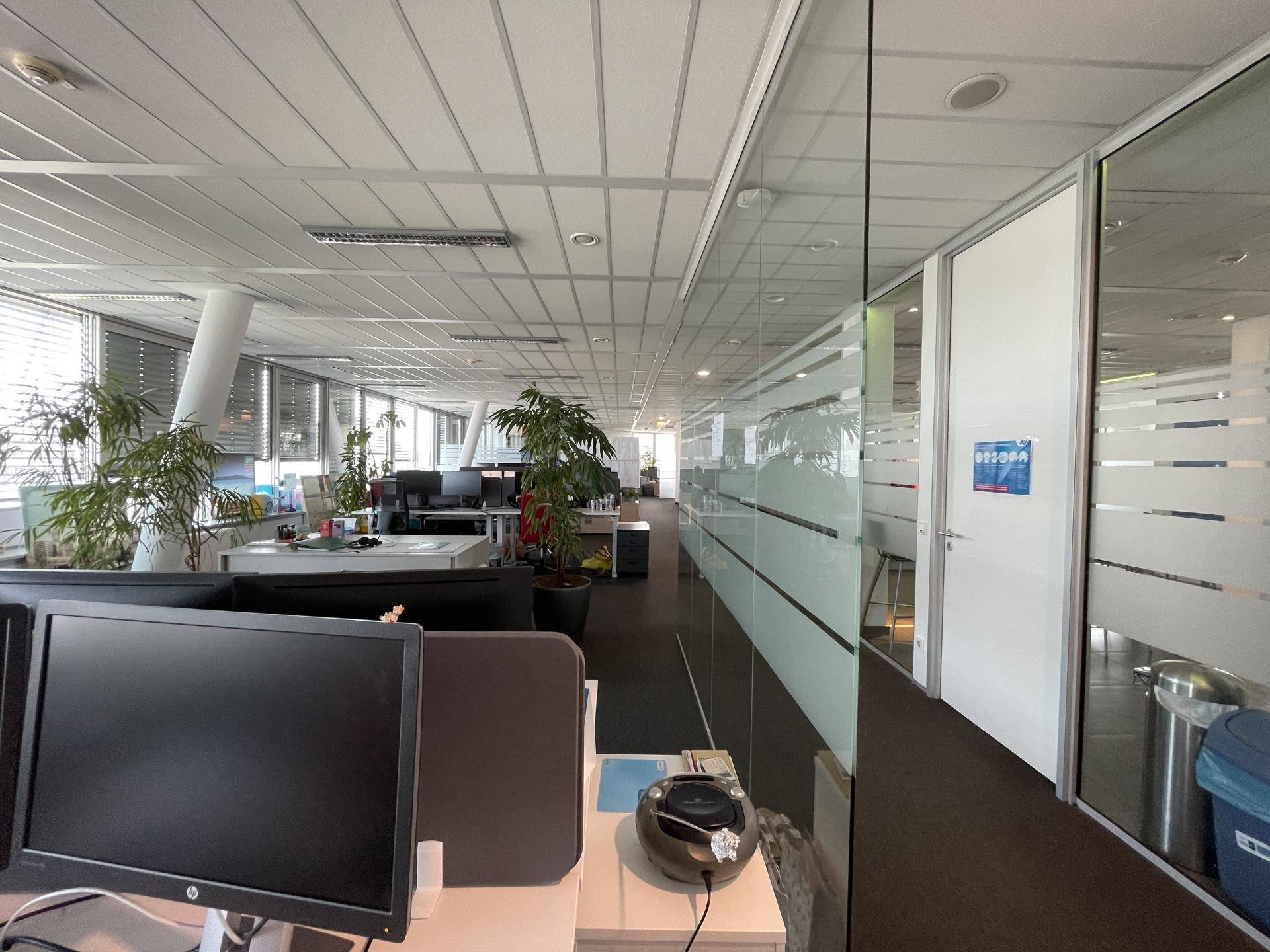 Langer Bürogang mit Glaswänden, mehreren Arbeitsbereichen und Pflanzen zur Auflockerung.
