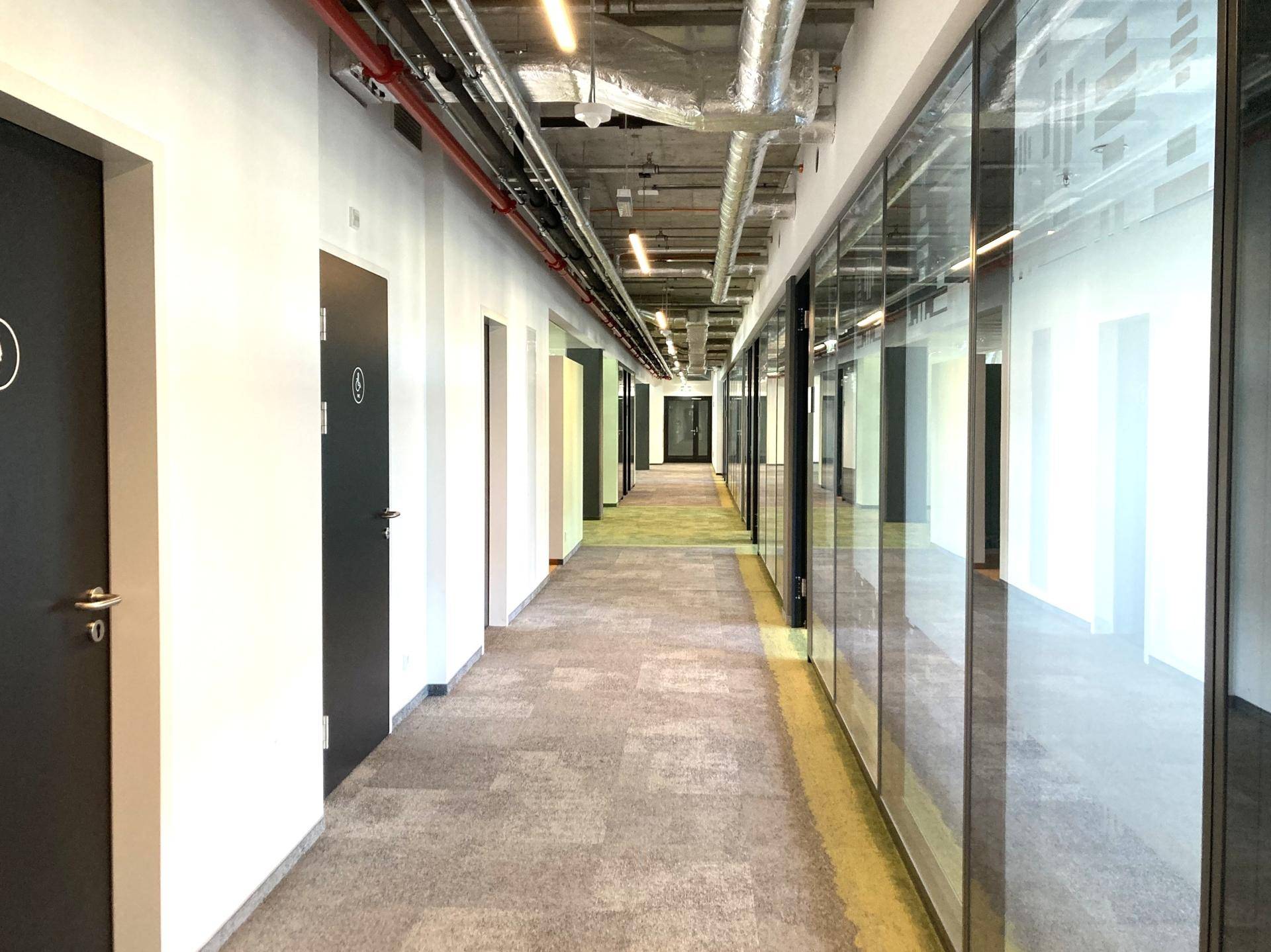 Langer Büroflur mit Teppichboden, Glaswänden zu den Büros und sichtbaren Leitungen an der Decke.