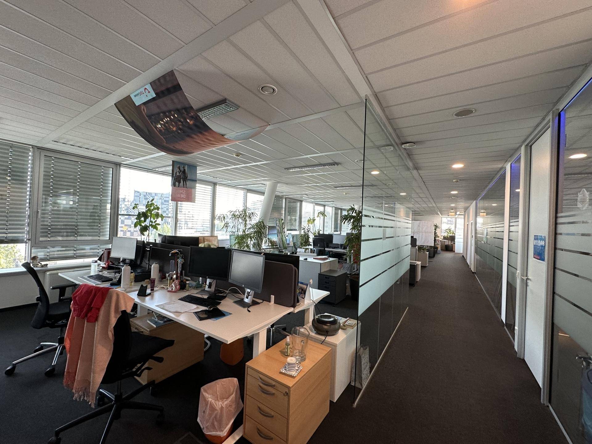 Weitläufiges Großraumbüro mit vielen Arbeitsplätzen, Glasabtrennungen und großen Fenstern mit Jalousien.