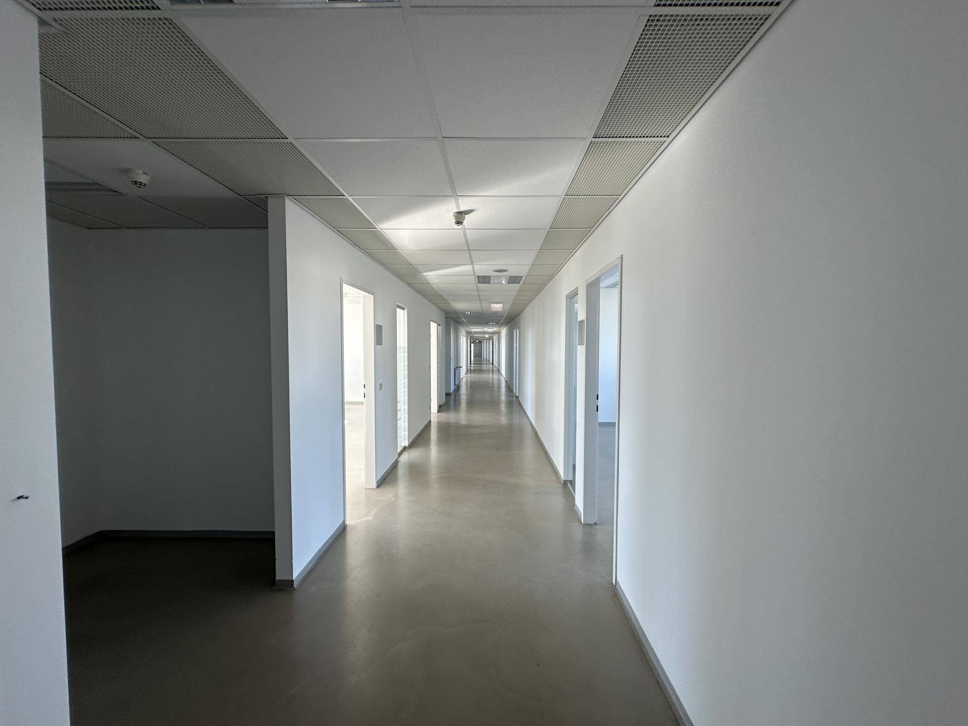 Langer, leerer Flur mit weißen Wänden, vielen Türen und abgehängter Decke.