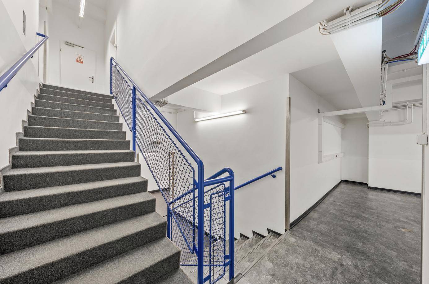 Treppenhaus mit Teppichstufen, blauem Geländer und Zugang zu verschiedenen Ebenen.