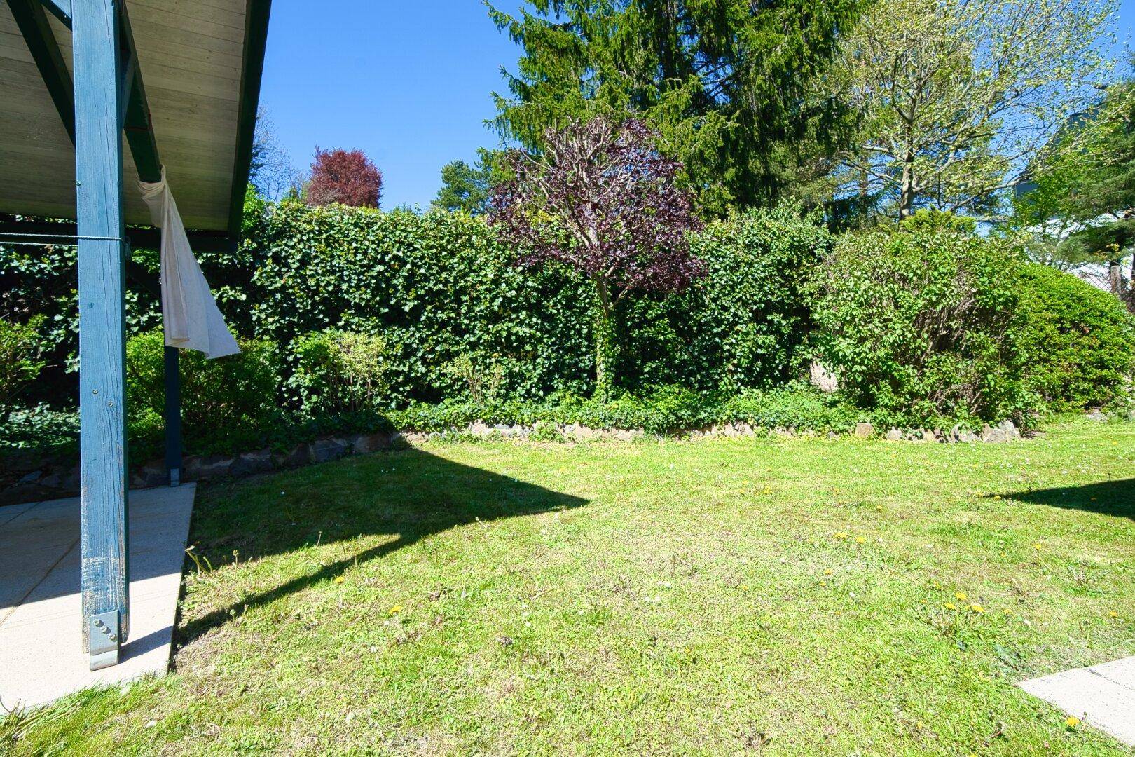 Gepflegter Garten mit üppiger Hecke und schattenspendenden Bäumen.