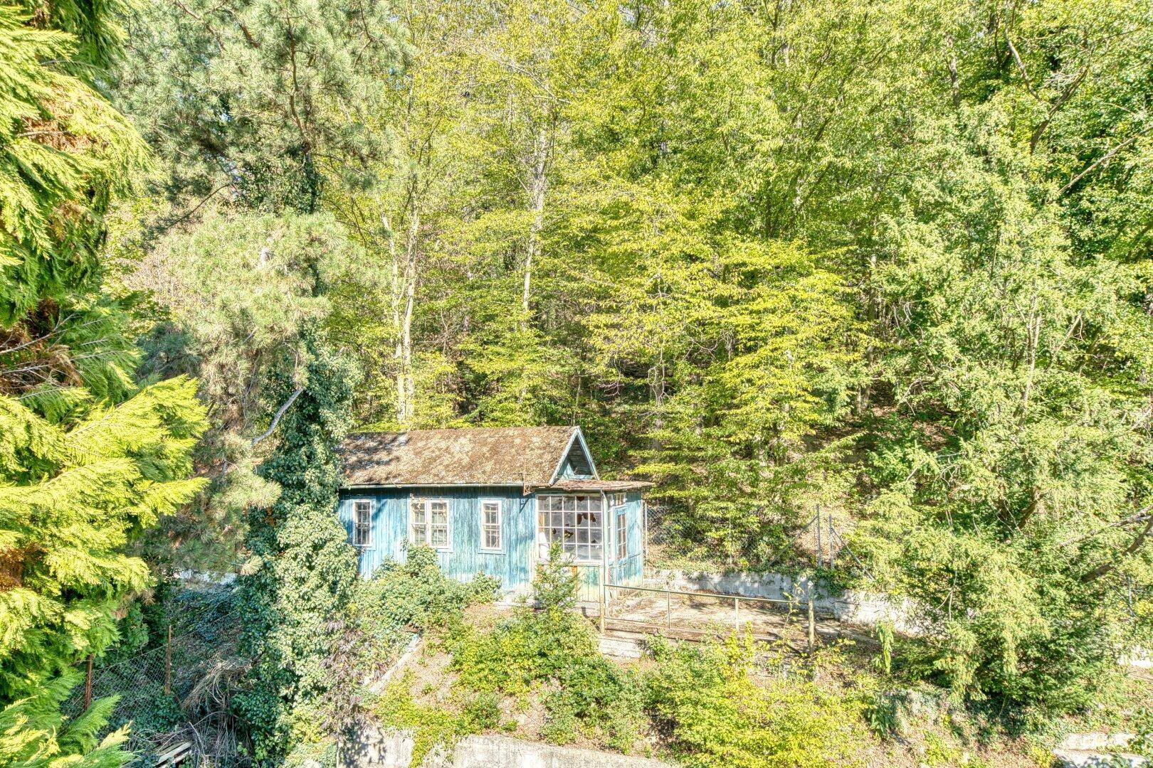 Große Gartenhütte (sanierungsbedürftig)