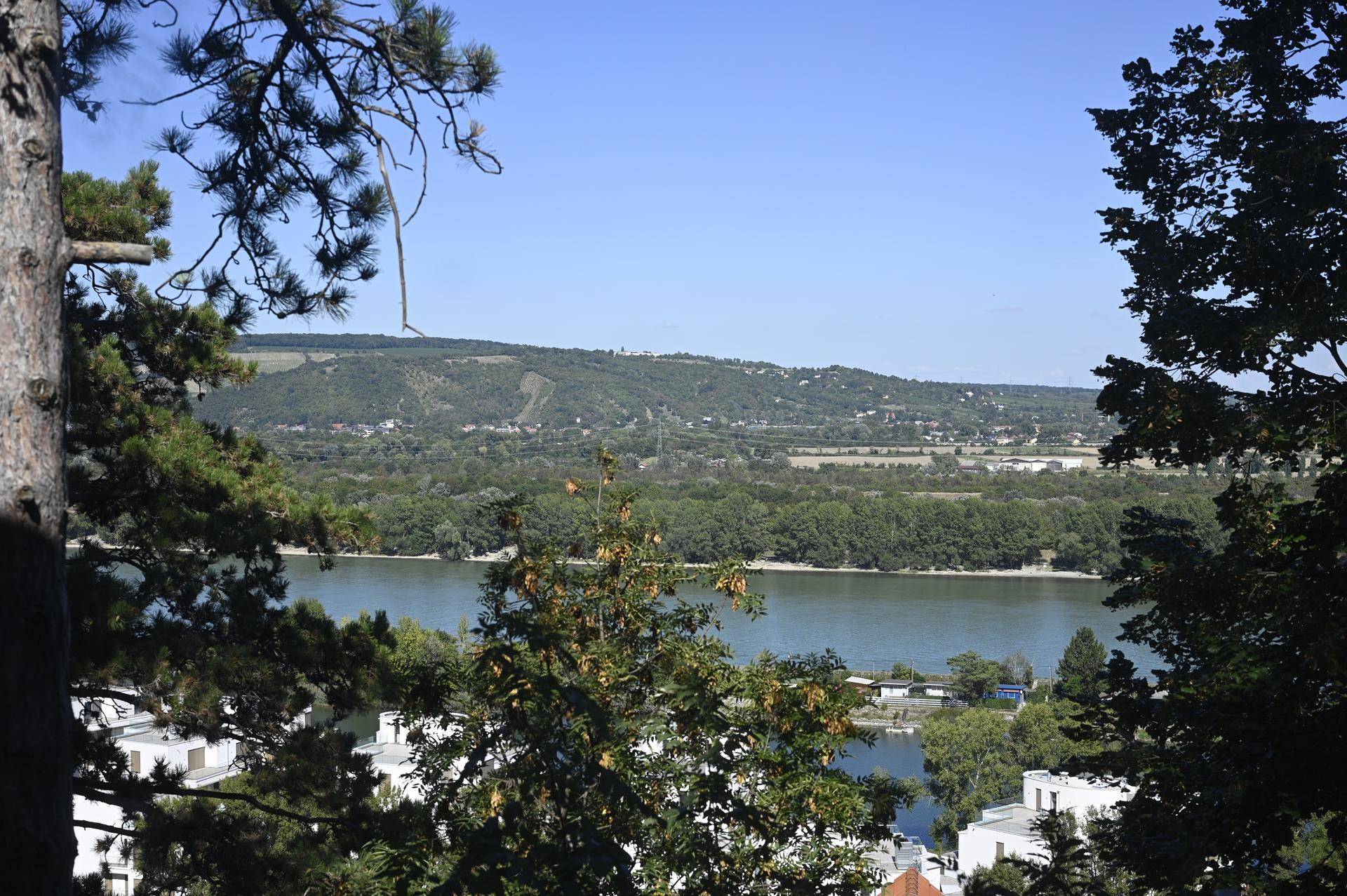 Panoramablick auf einen Fluss, bewaldete Hügel und einige Gebäude, umrahmt von Bäumen.